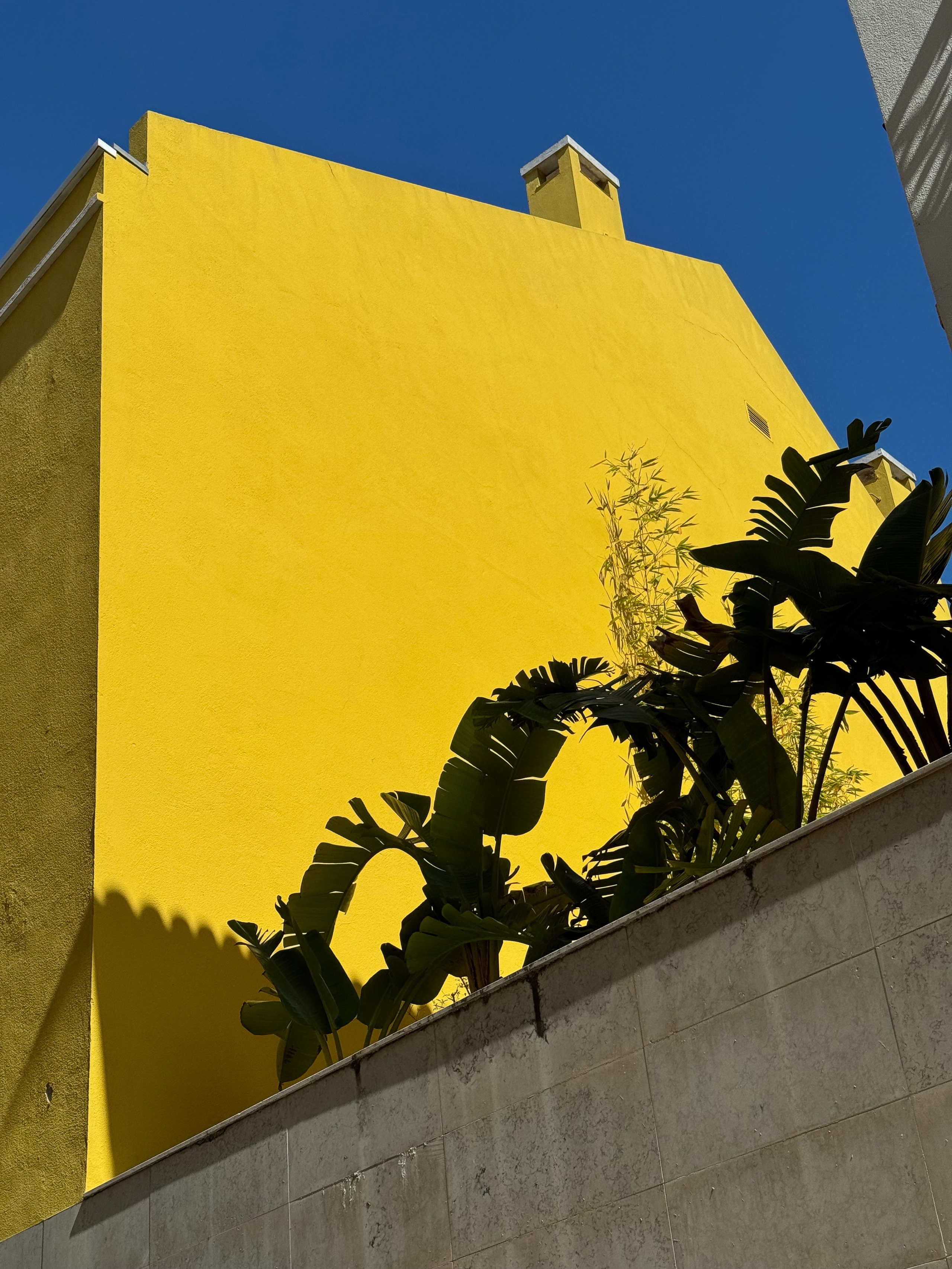 Street. Maria Sher. Professional photographer from Porto, Portugal