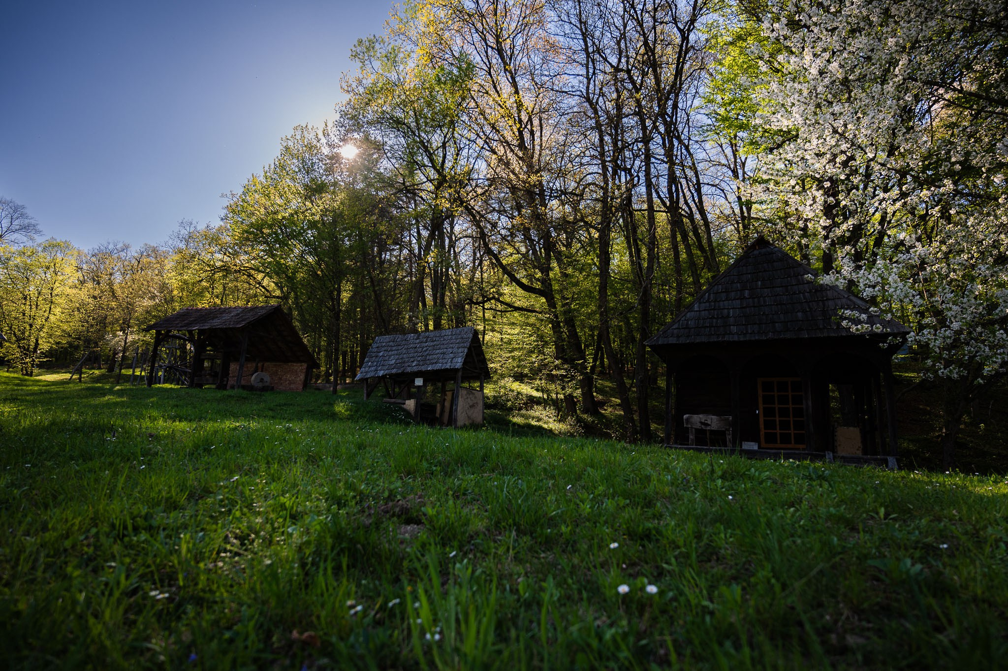 Sedinta love story Larisa&David