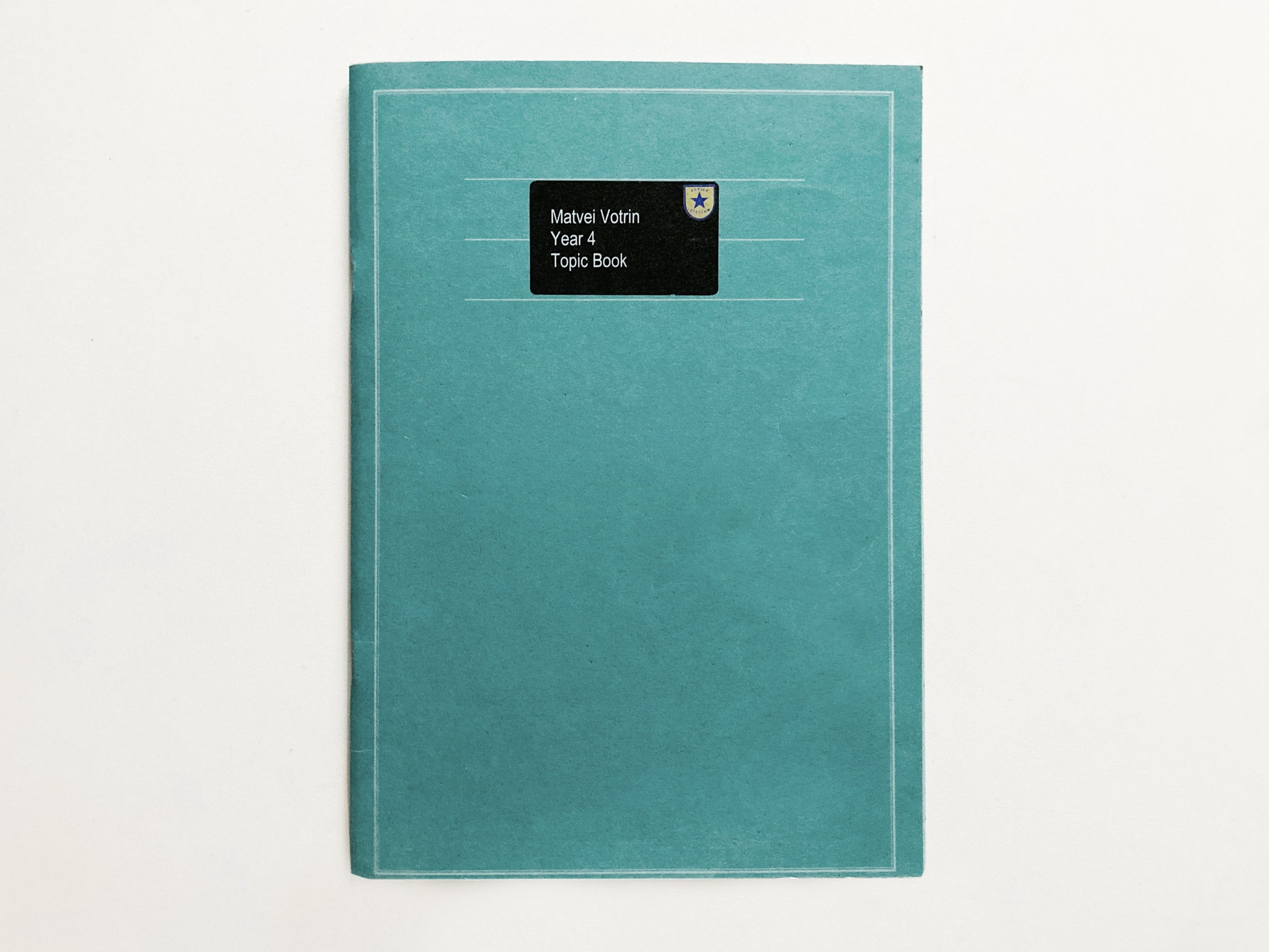 Fly in Amber. Sveta Kaverina