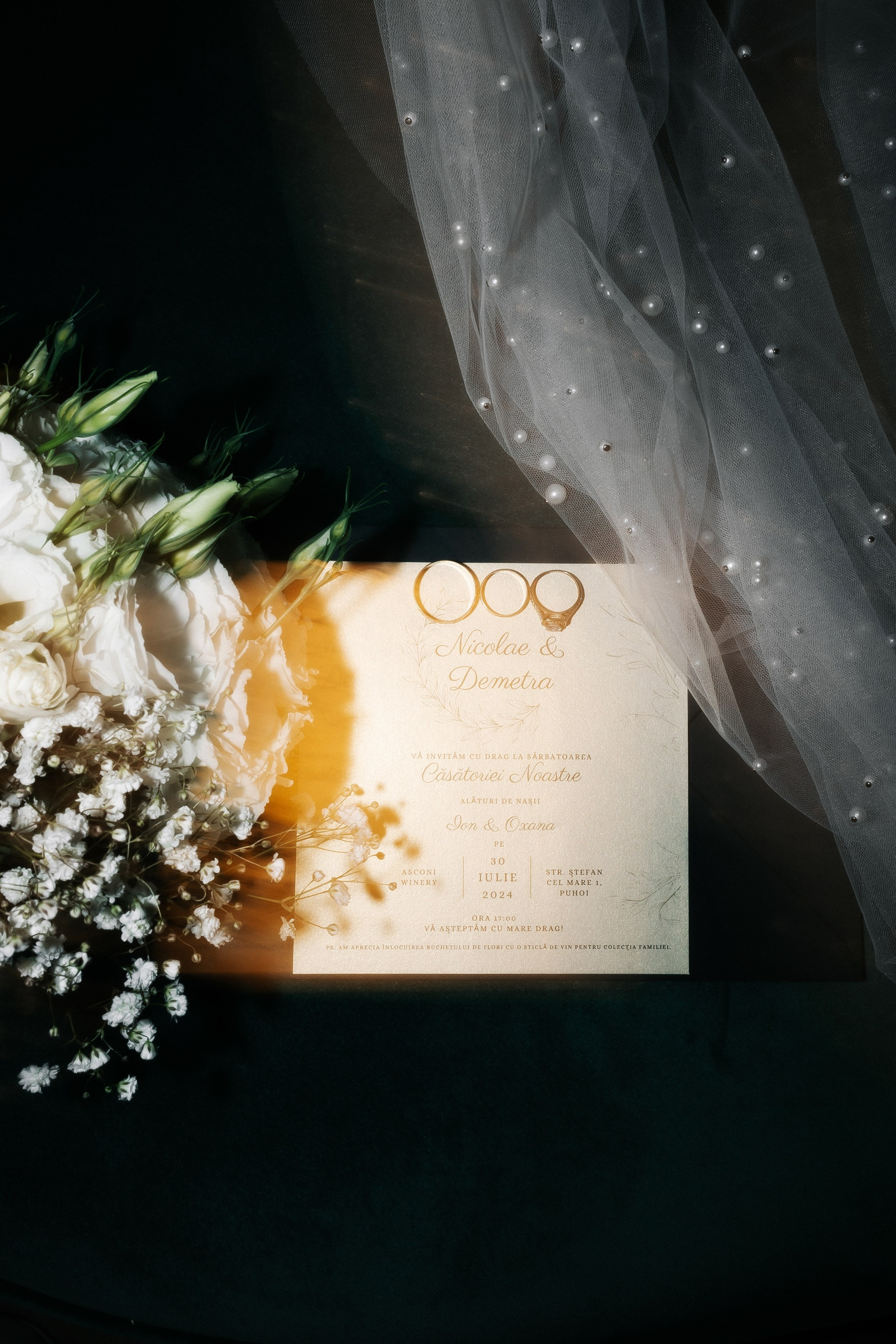 DEMETRA + NICOLAE REPUBLICA MOLDOVA. Fulga Photographer