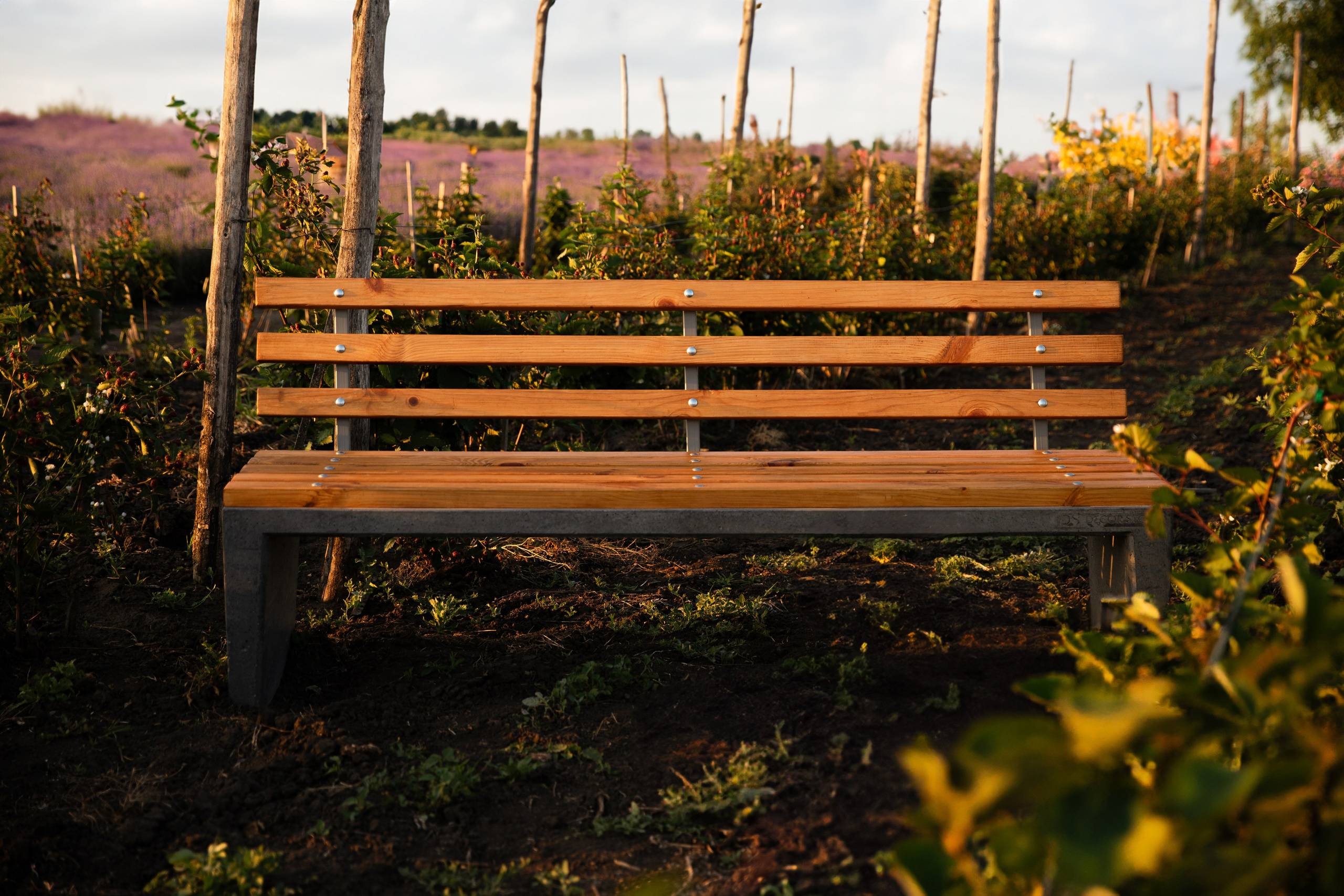 Companie „DecorStone”. Fotograf și Videograf | Chișinău, Moldova