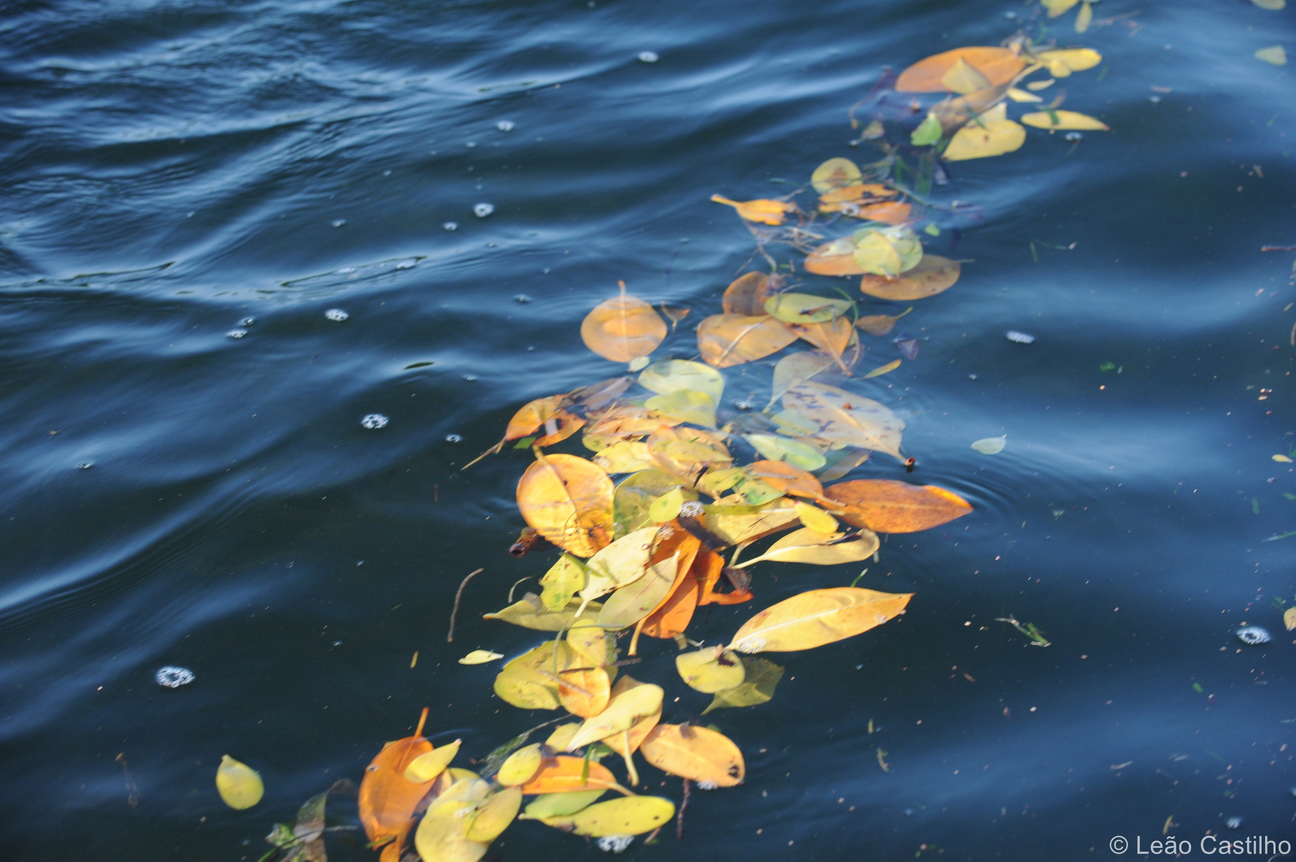 Photos from Mozambique. Simbahalu