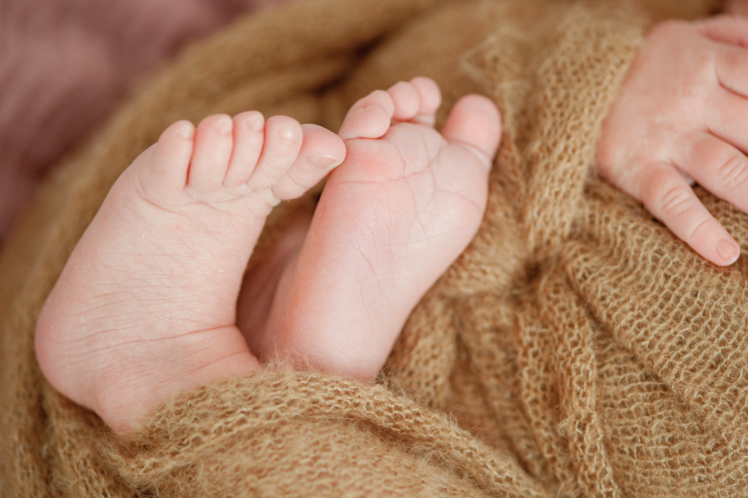 NEWBORN. Valokuvaaja Itä-Uudellamaalla Viktoria photography