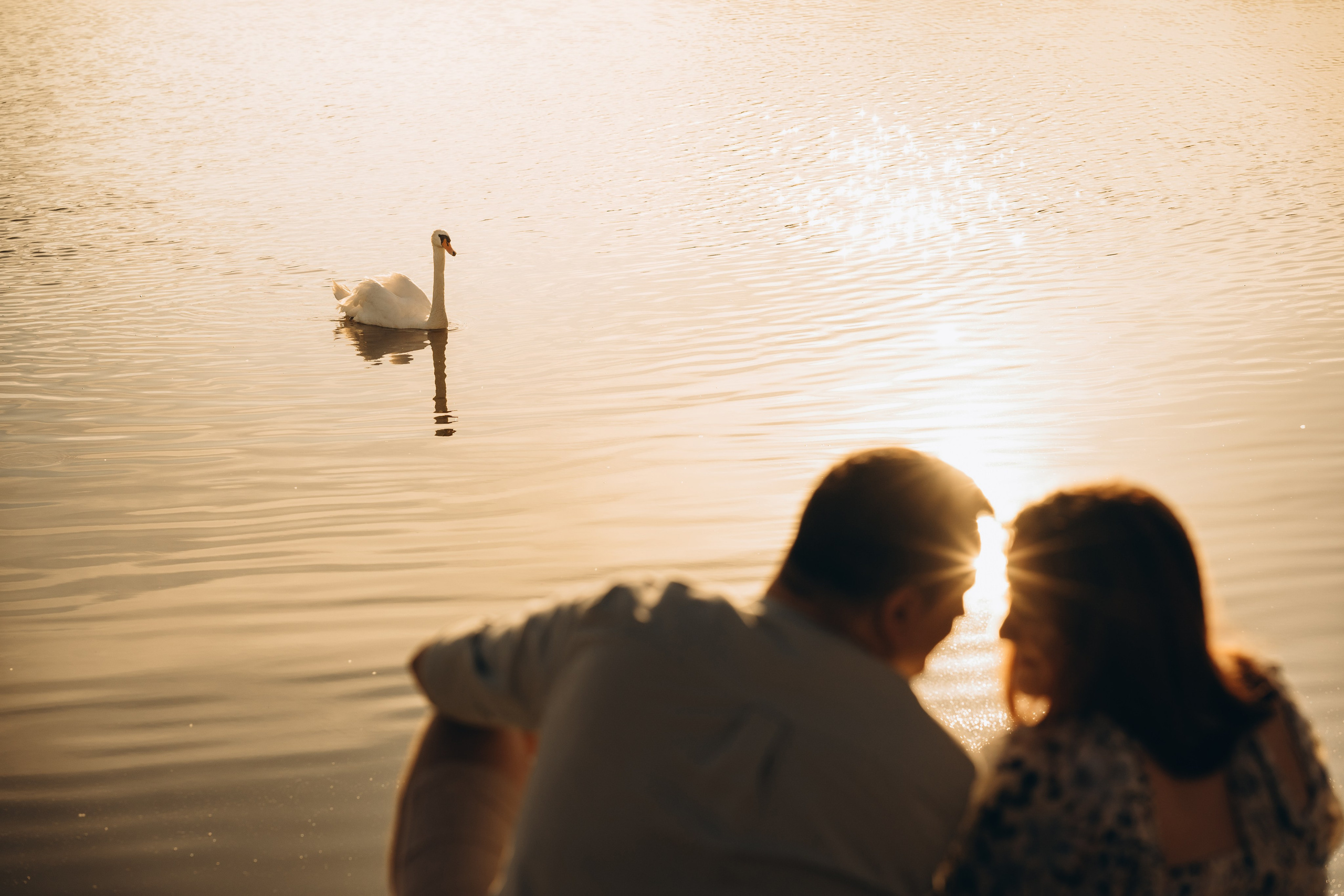 Cuplu. Mihai Padurariu - fotograf