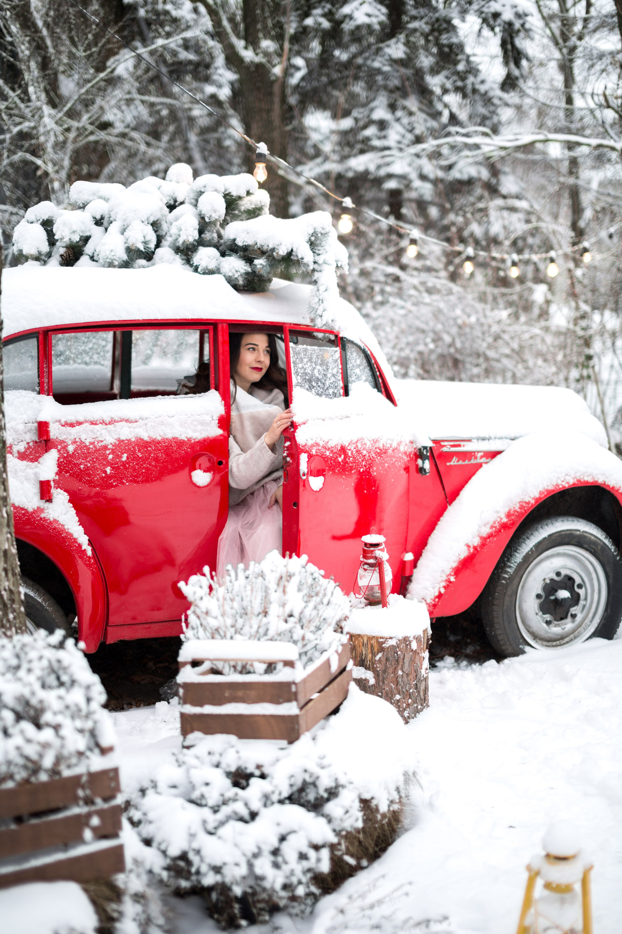 Winter Love. Wedding and Family Photograph
