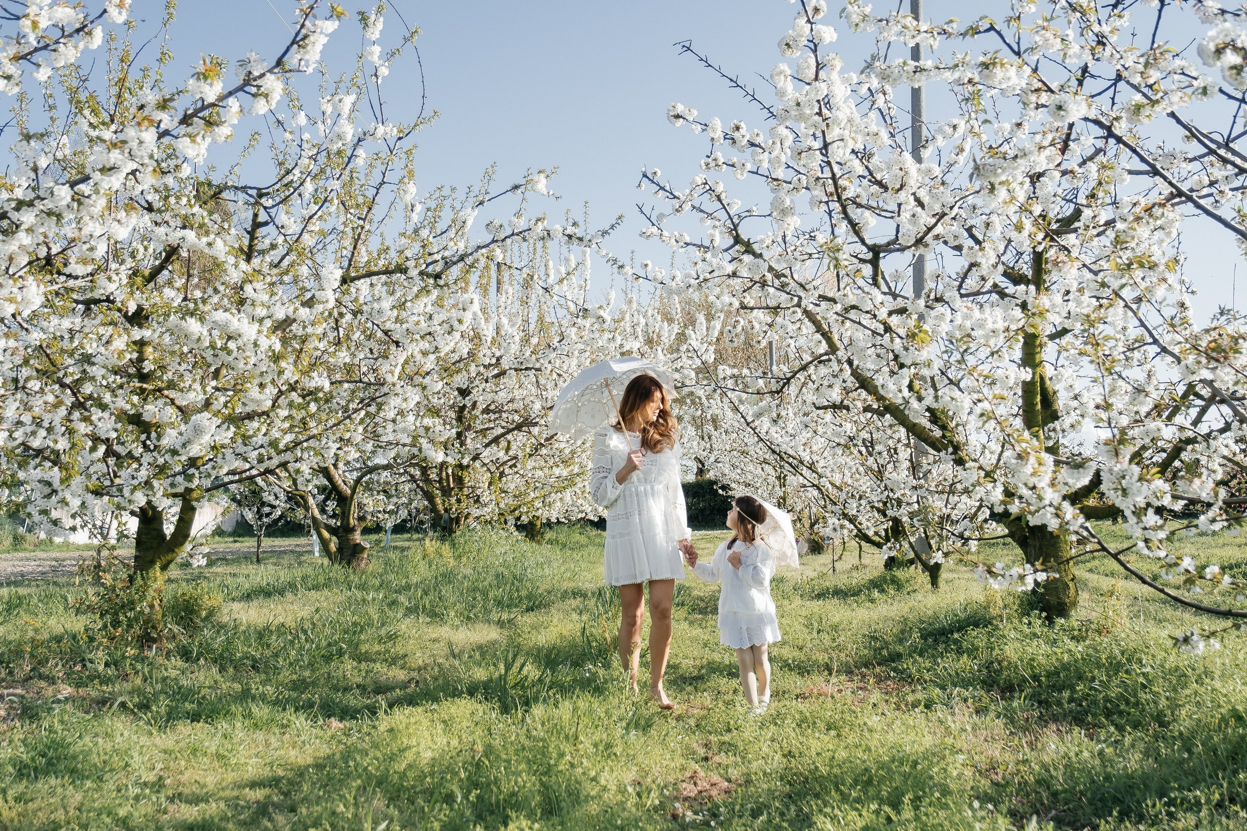 🌸🌸🌸. Весільний фотограф Вікторія Саврук