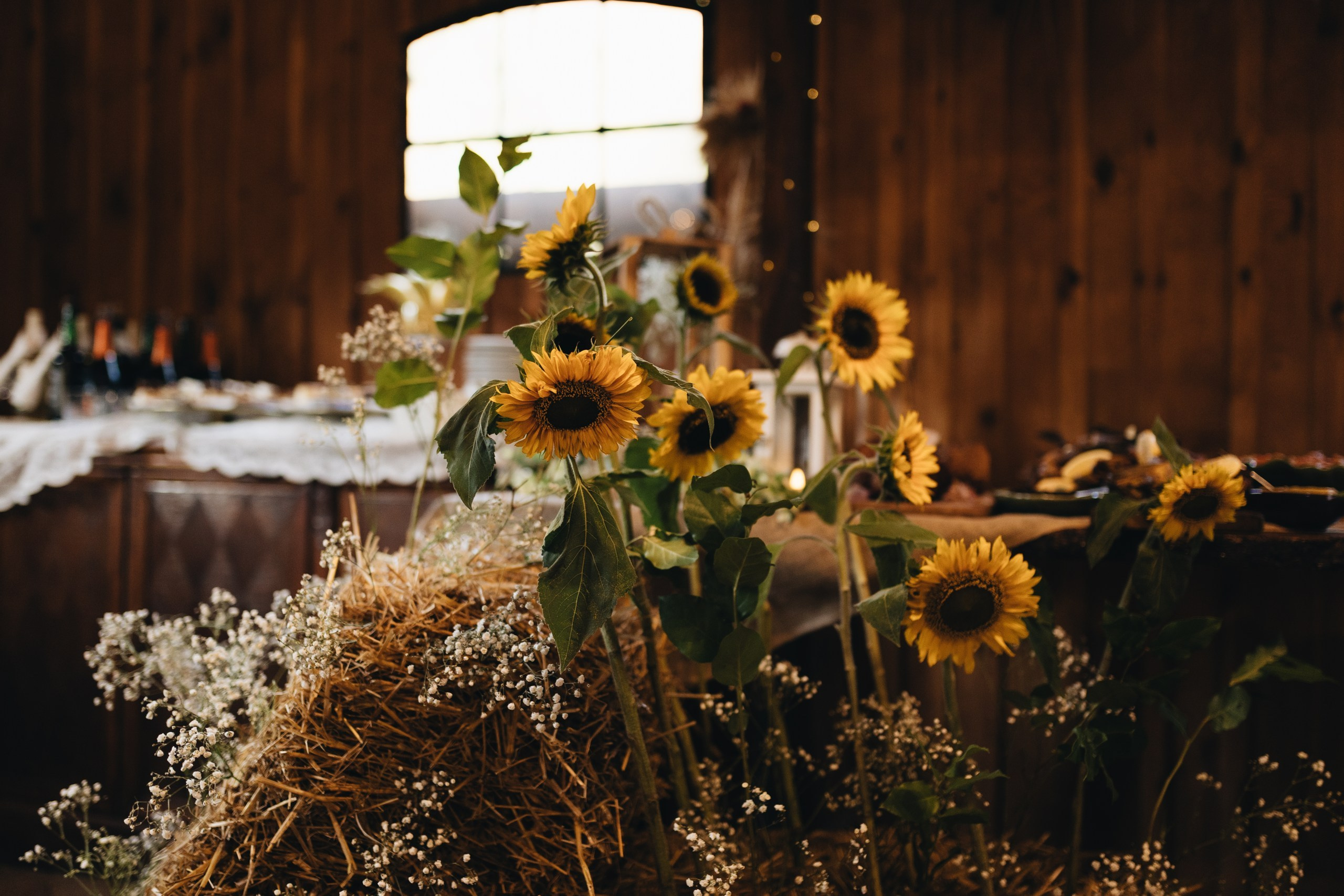 Klaudia&Maciek. Michał Śmigiel Fotografia