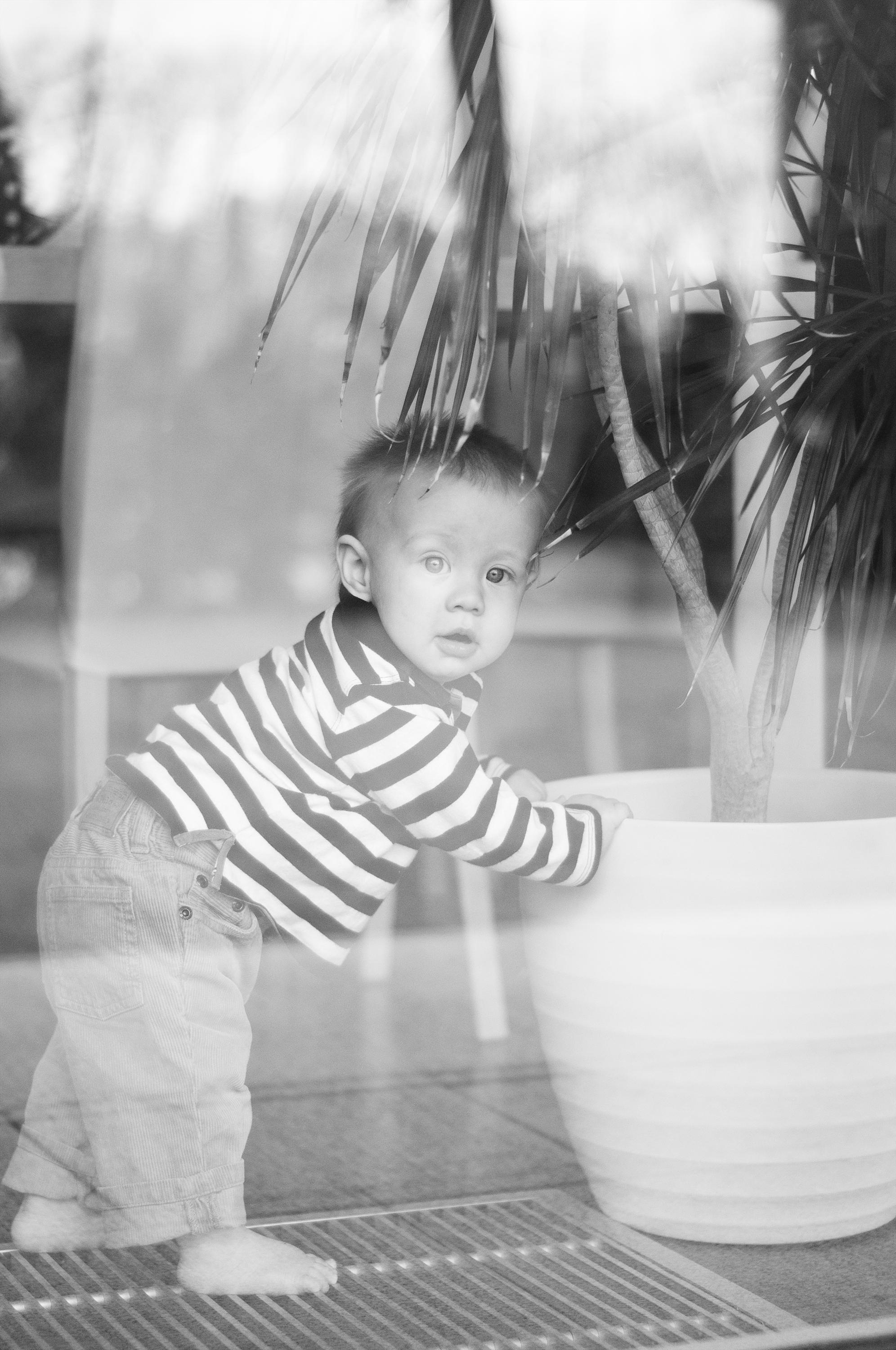 Большой маленький мир. Главная