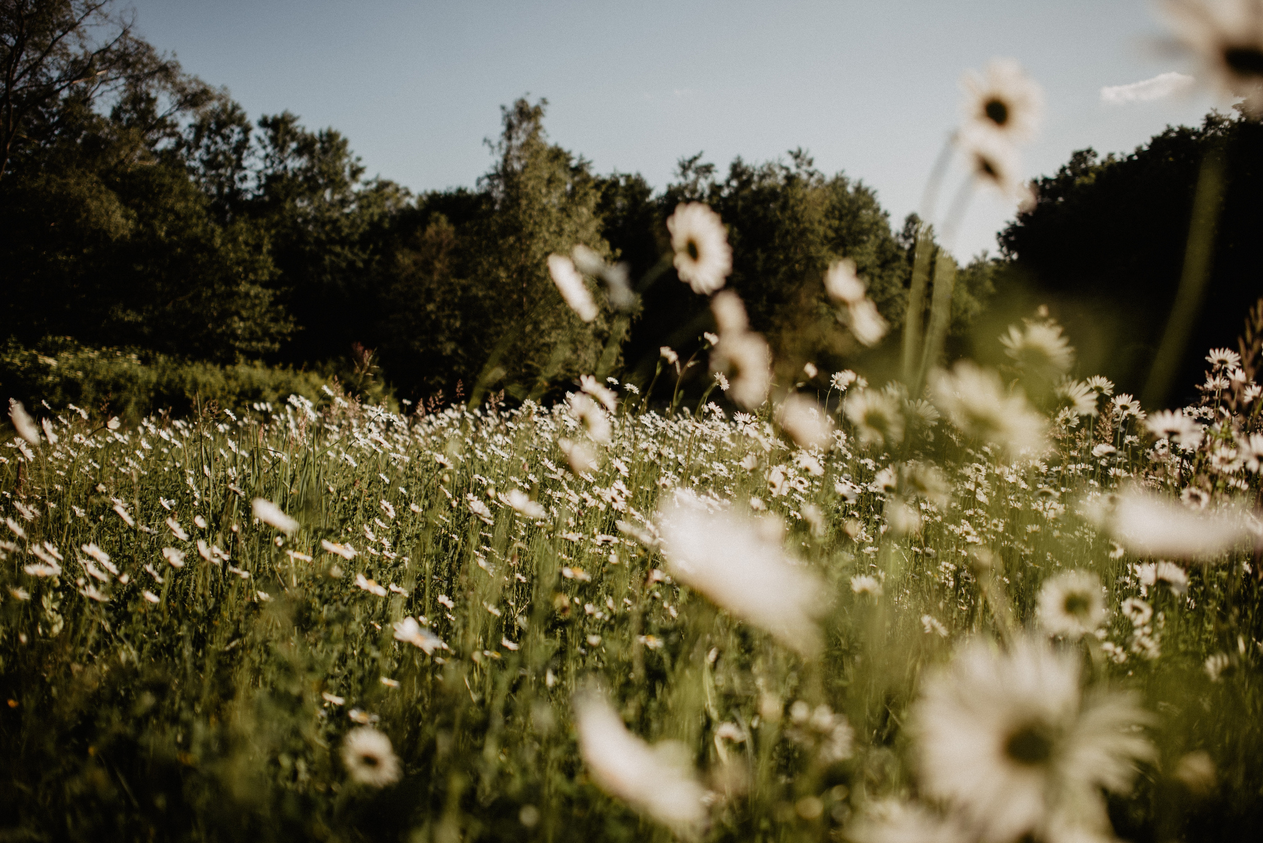 Magdalena. Bałanda Fotografia – Sesje Kobiece, Rodzinne, Miłosne, Reportaże | Katowice Śląsk