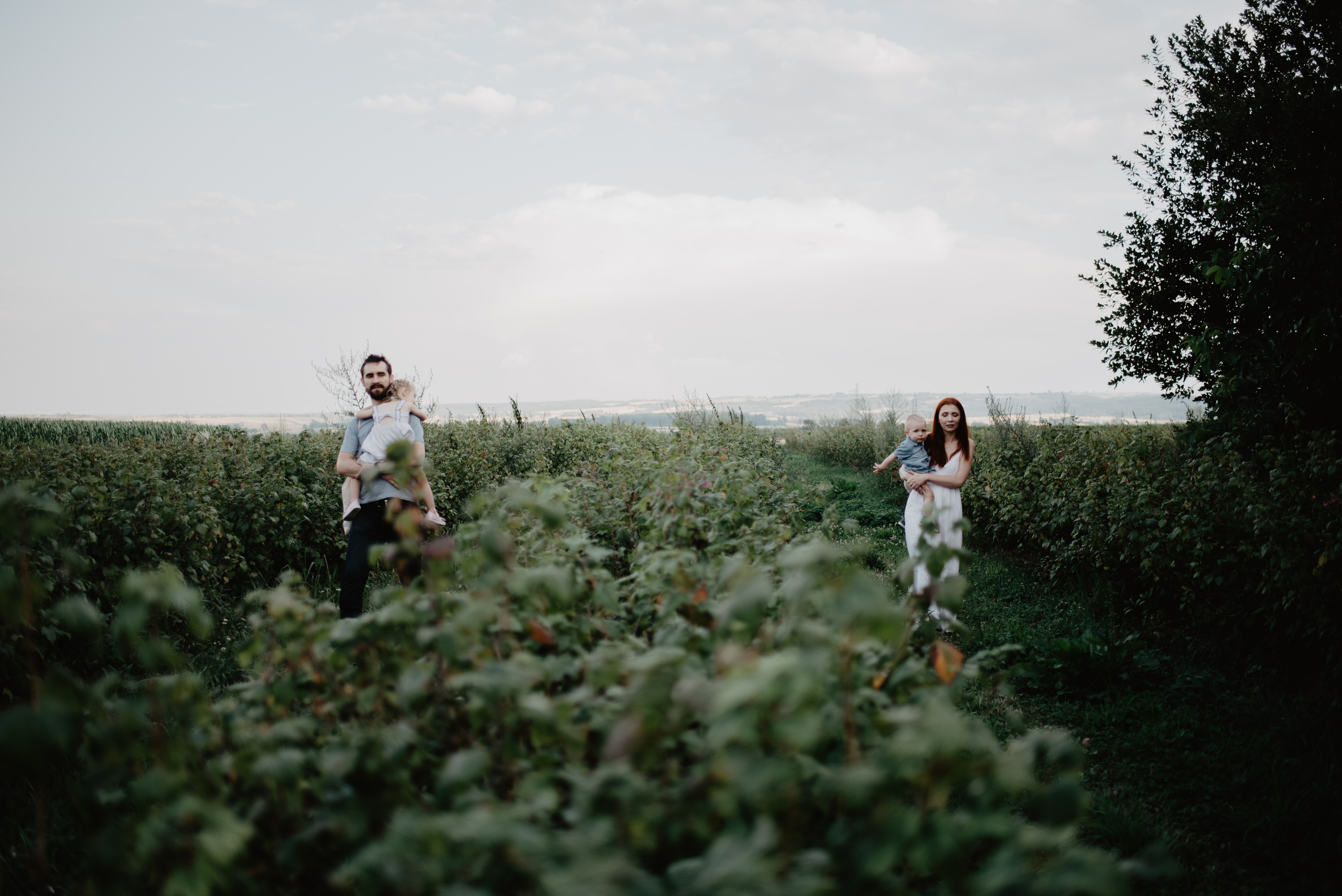 Sesja Rodzinna w polu. Bałanda Fotografia – Sesje Kobiece, Rodzinne, Miłosne, Reportaże | Katowice Śląsk