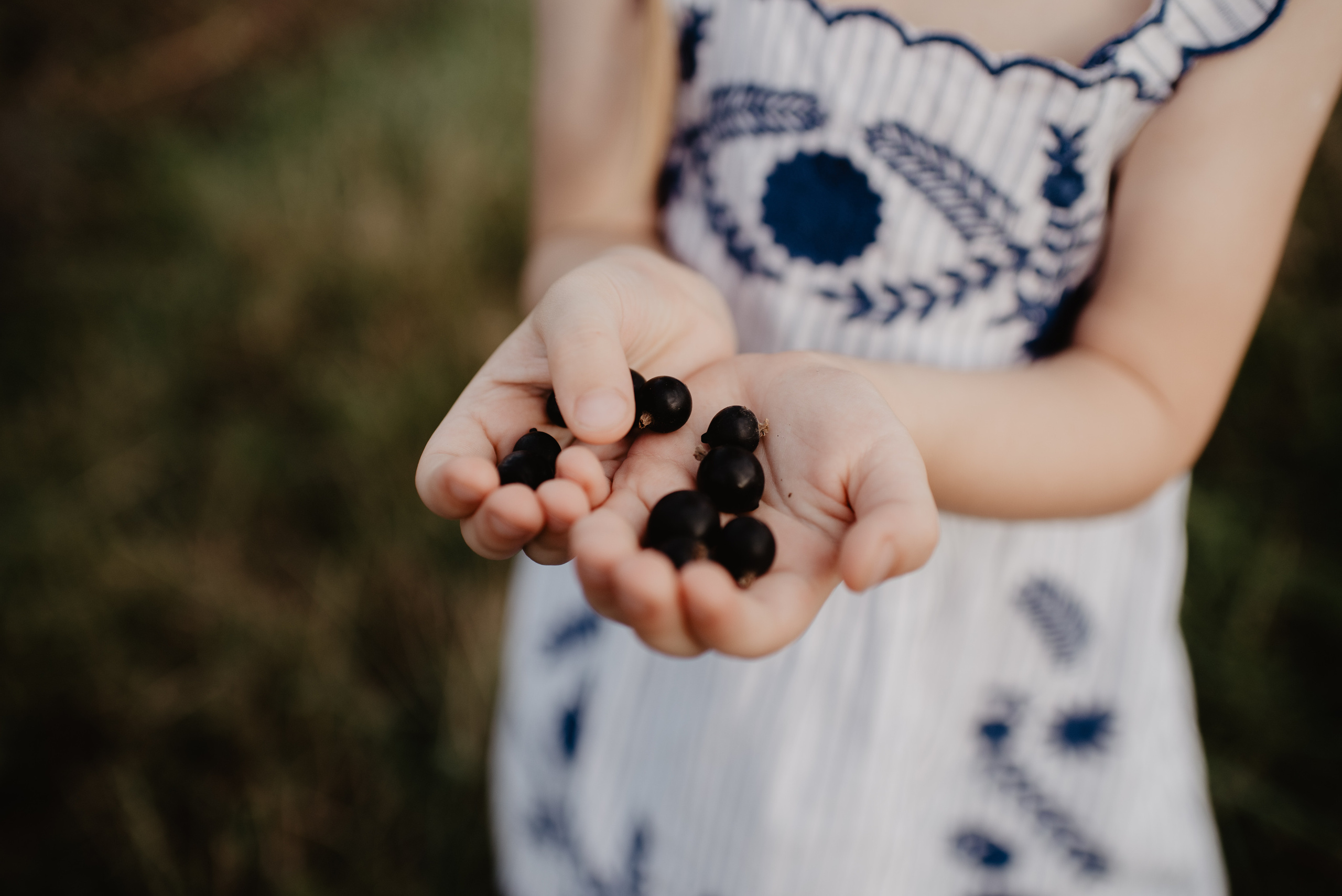 Sesja Rodzinna w polu. Bałanda Fotografia – Sesje Kobiece, Rodzinne, Miłosne, Reportaże | Katowice Śląsk
