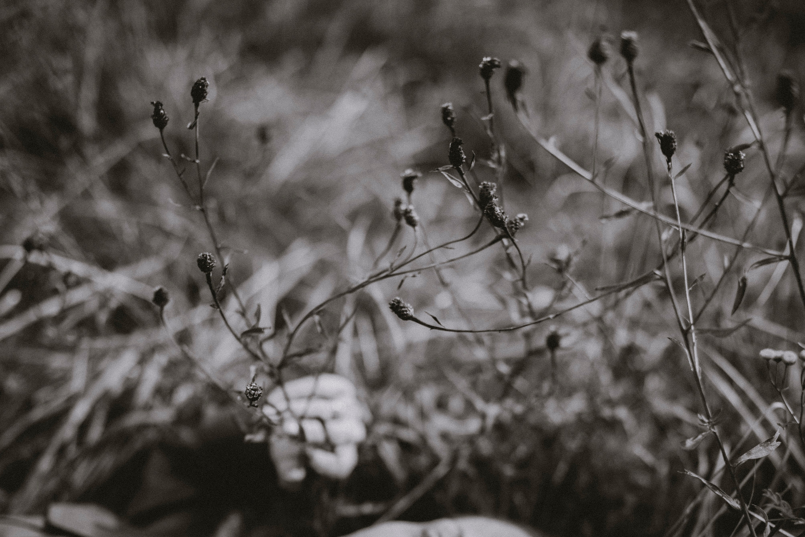 Sisterhood. Bałanda Fotografia – Sesje Kobiece, Rodzinne, Miłosne, Reportaże | Katowice Śląsk