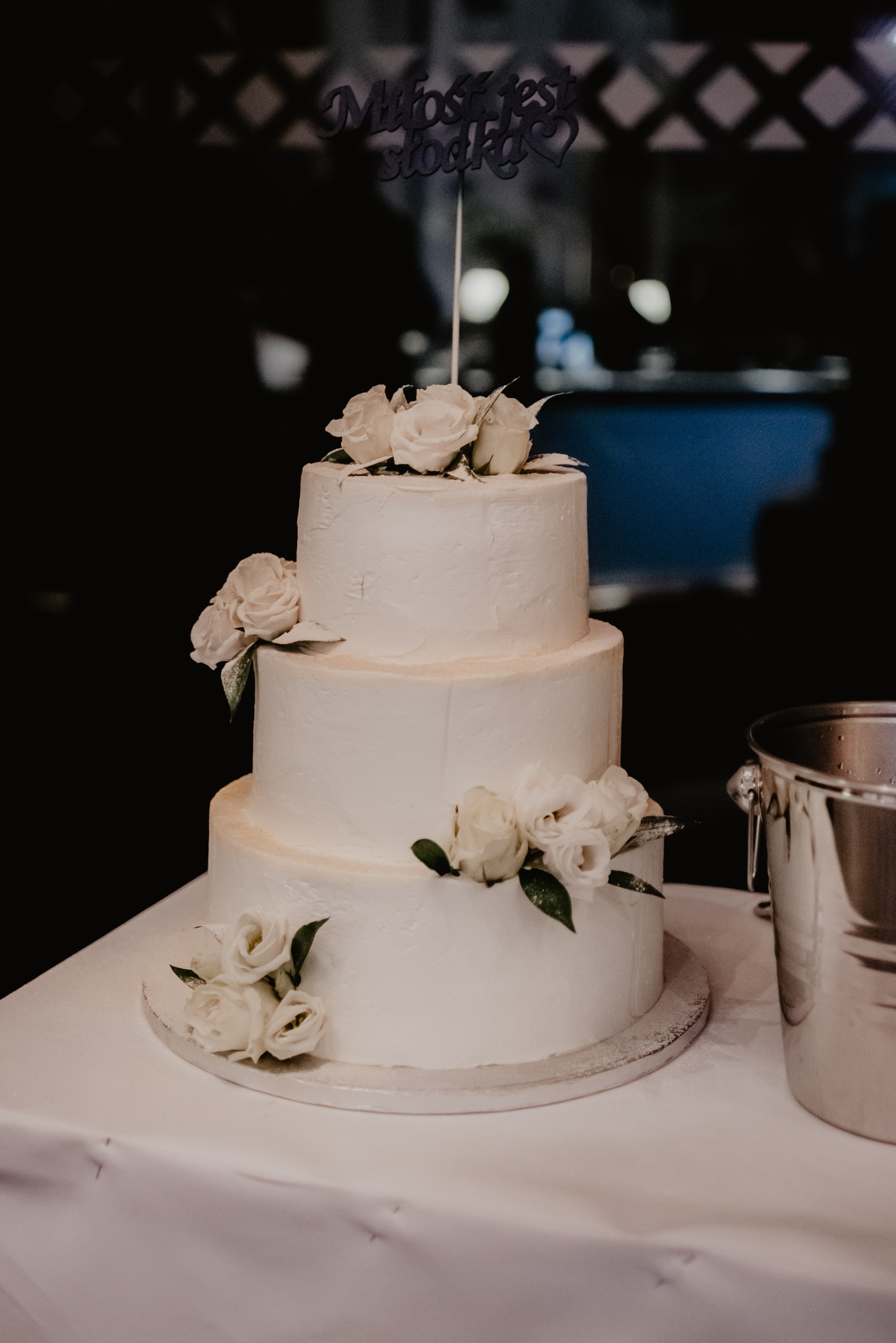 Aleksandra & Patryk. Bałanda Fotografia – Sesje Kobiece, Rodzinne, Miłosne, Reportaże | Katowice Śląsk