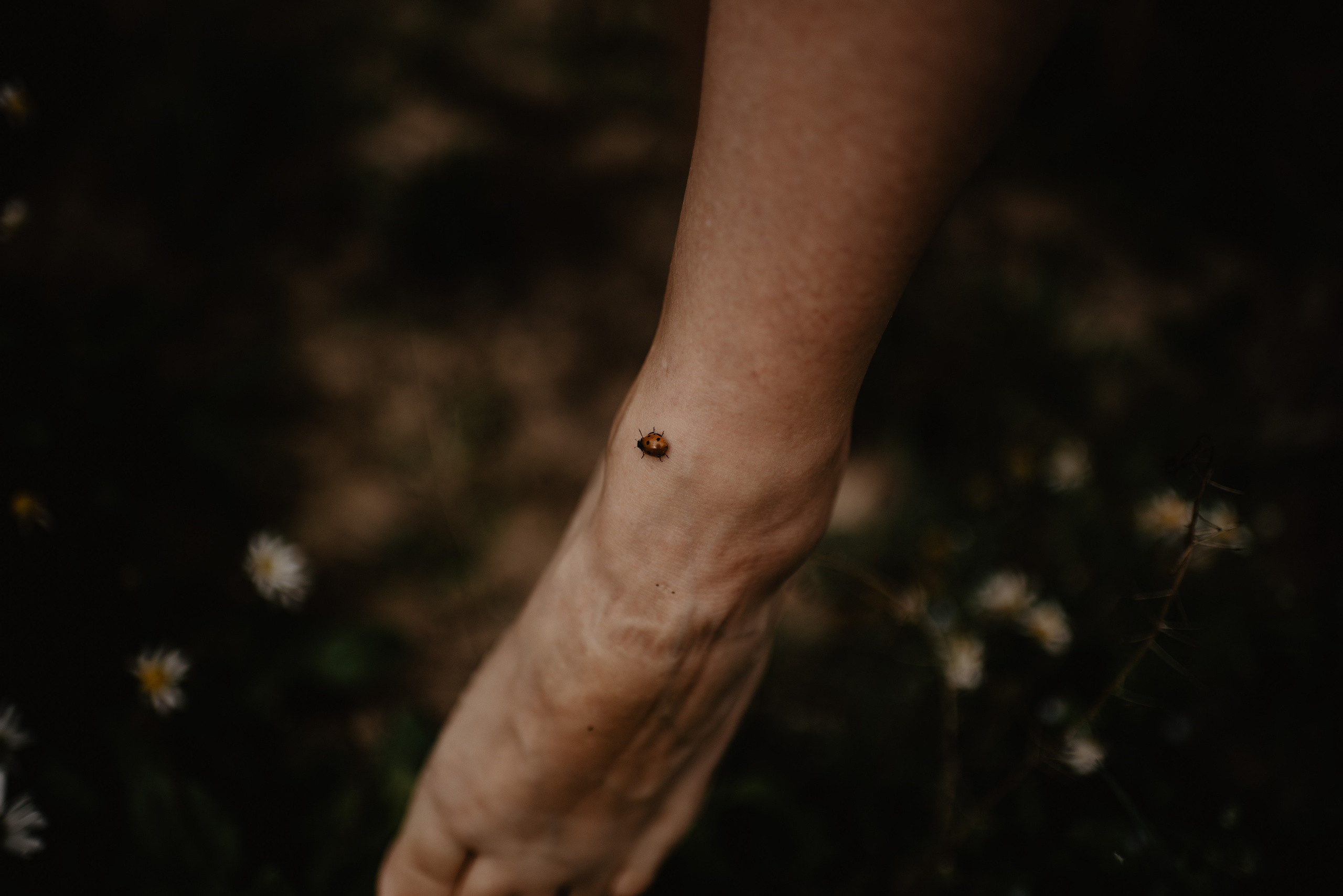 Sylwia. Bałanda Fotografia – Sesje Kobiece, Rodzinne, Miłosne, Reportaże | Katowice Śląsk