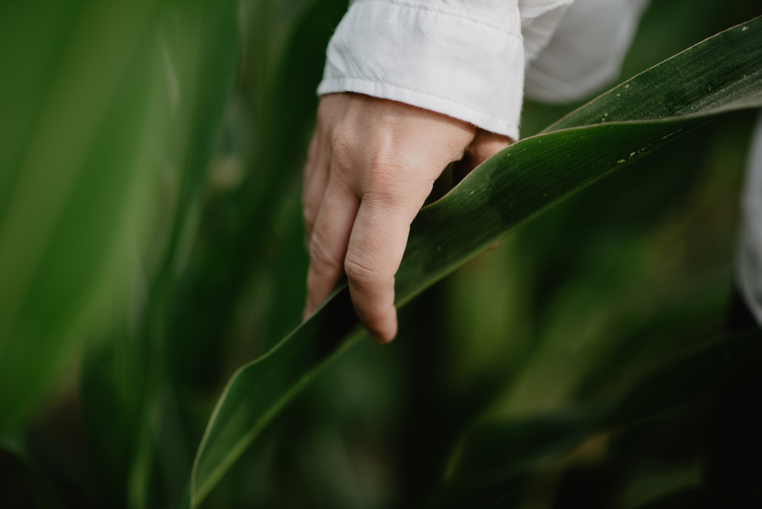 Sylwia. Bałanda Fotografia – Sesje Kobiece, Rodzinne, Miłosne, Reportaże | Katowice Śląsk