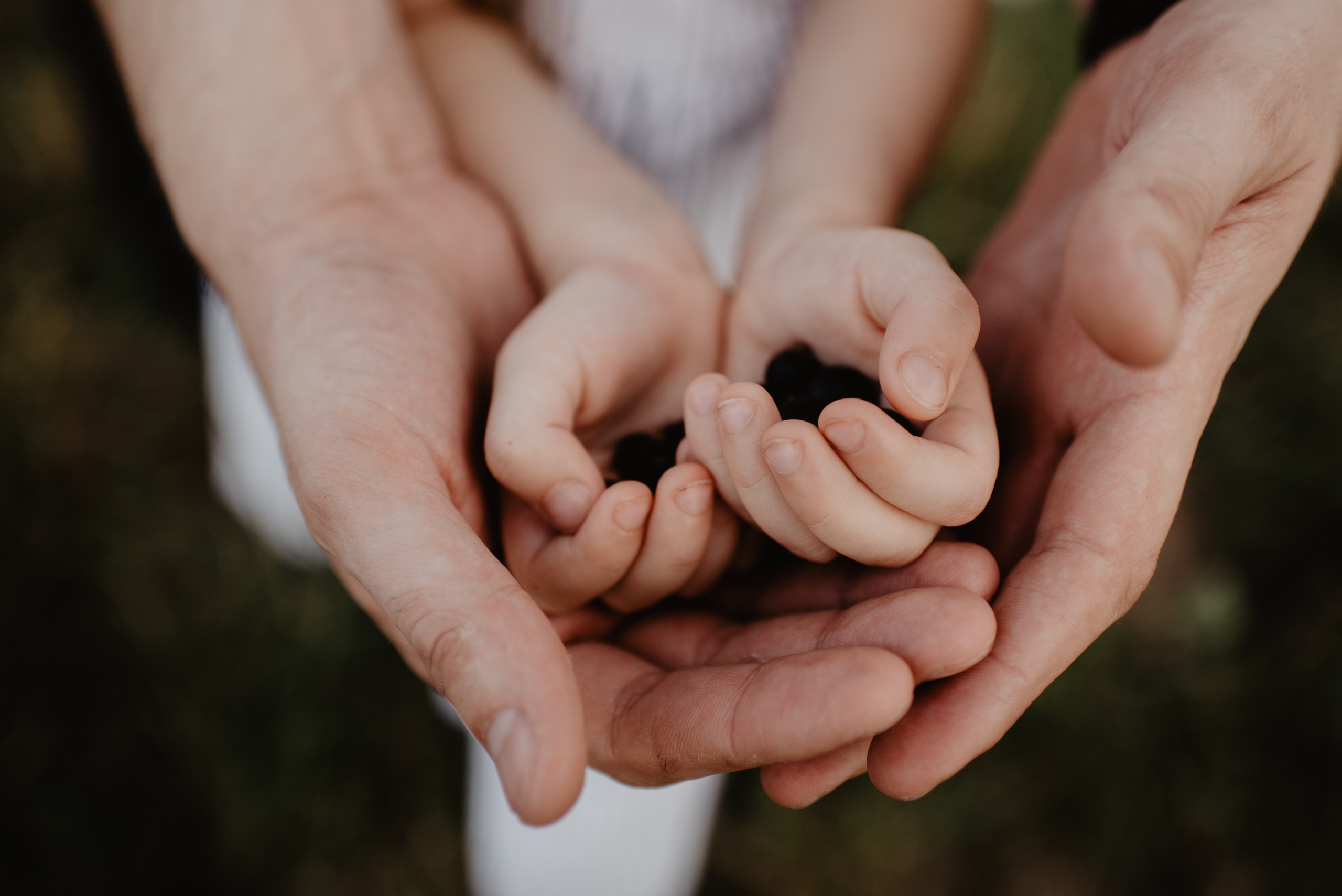 Sesja Rodzinna w polu. Bałanda Fotografia – Sesje Kobiece, Rodzinne, Miłosne, Reportaże | Katowice Śląsk