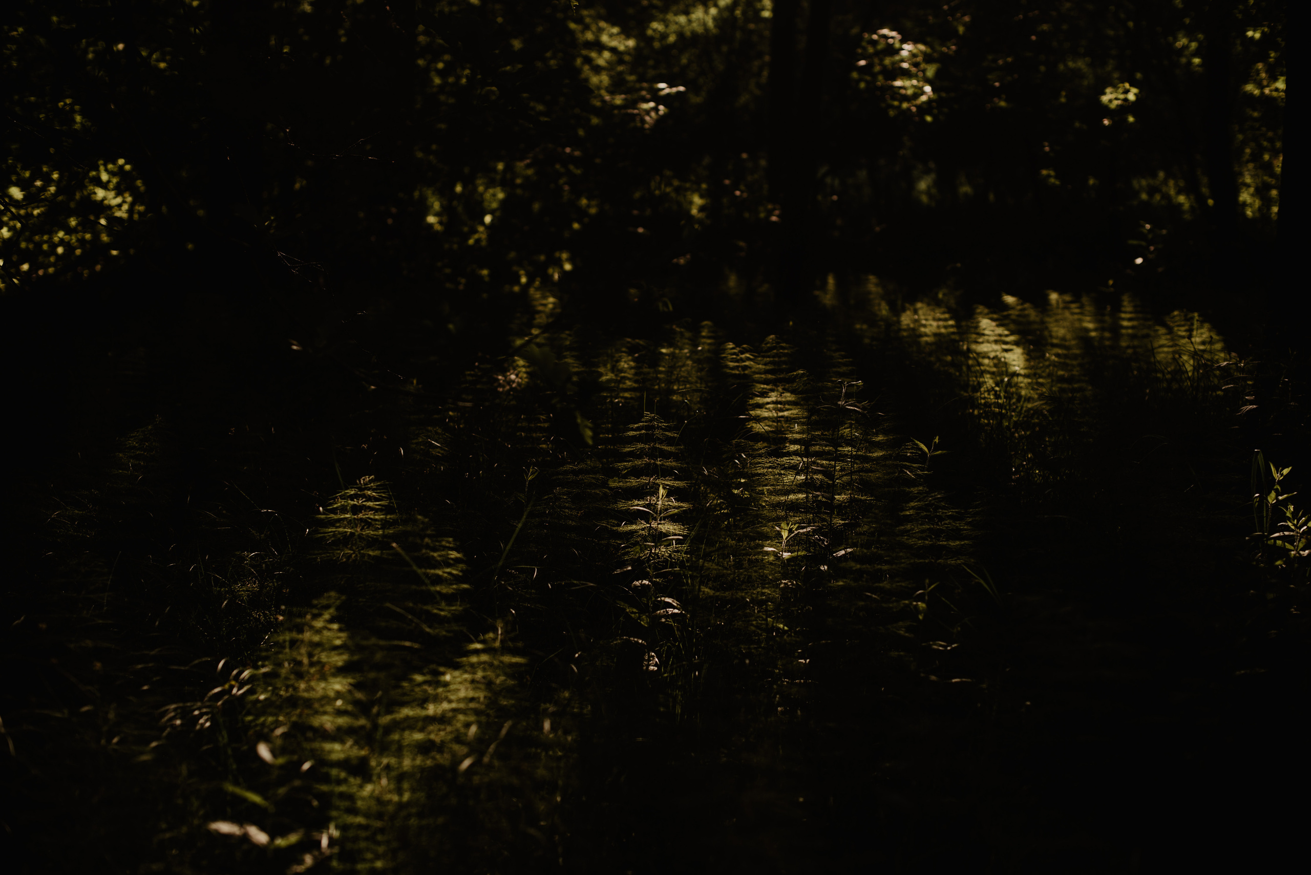 Magdalena. Bałanda Fotografia – Sesje Kobiece, Rodzinne, Miłosne, Reportaże | Katowice Śląsk