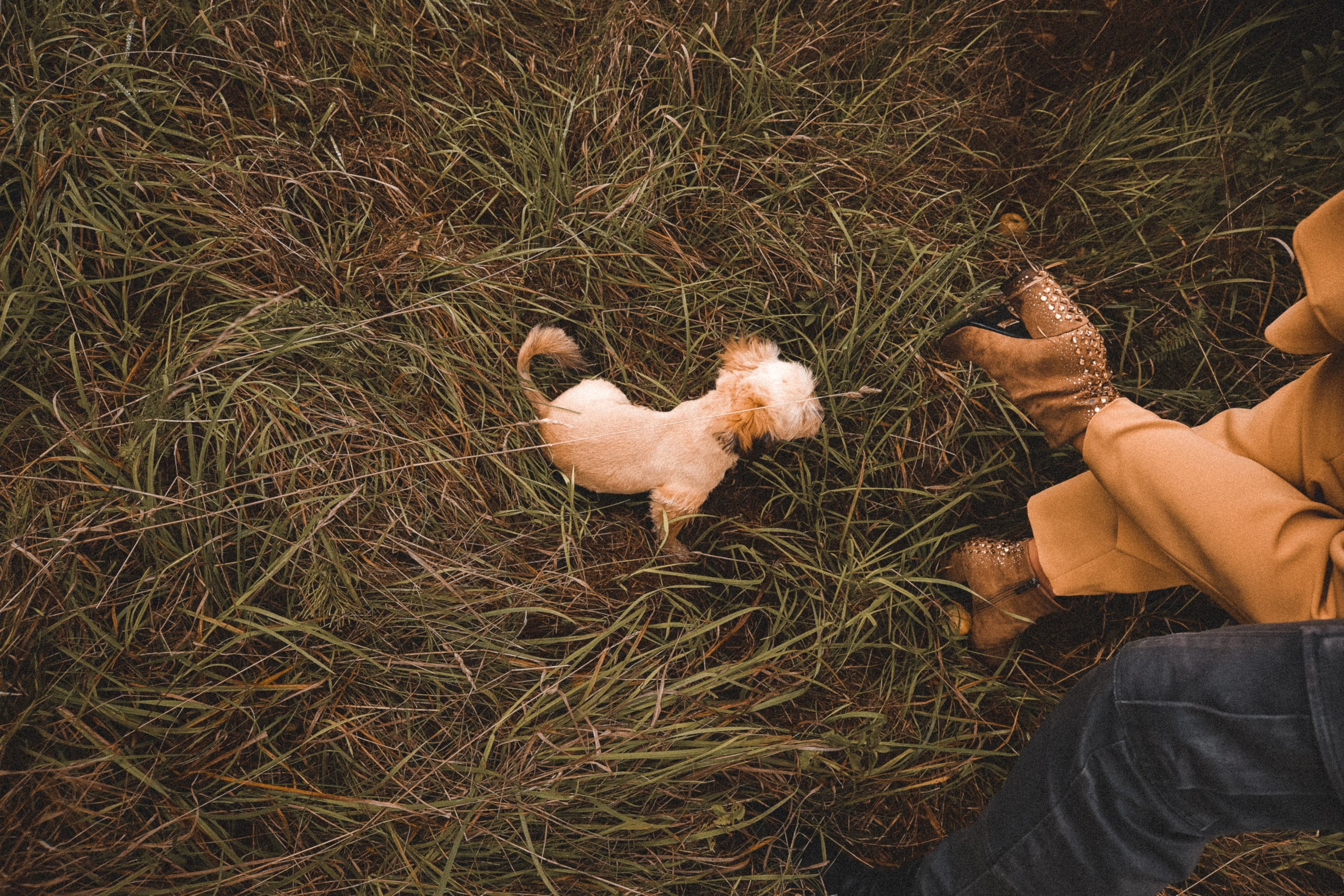 I&M. ART SYLCHENKO Fotograf Trójmiasto