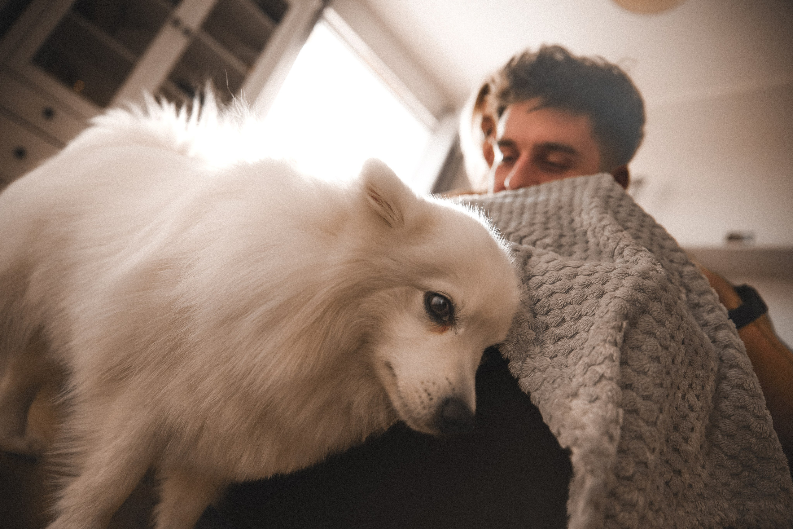 D&R. ART SYLCHENKO Fotograf Trójmiasto