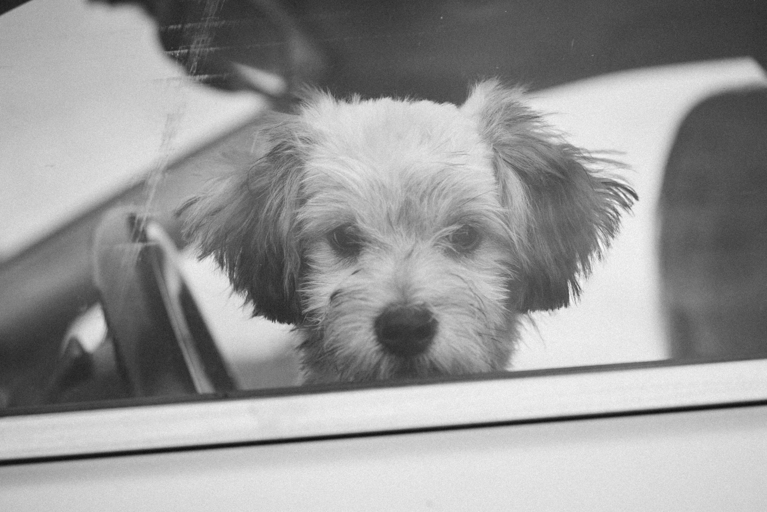 I&M. ART SYLCHENKO Fotograf Trójmiasto