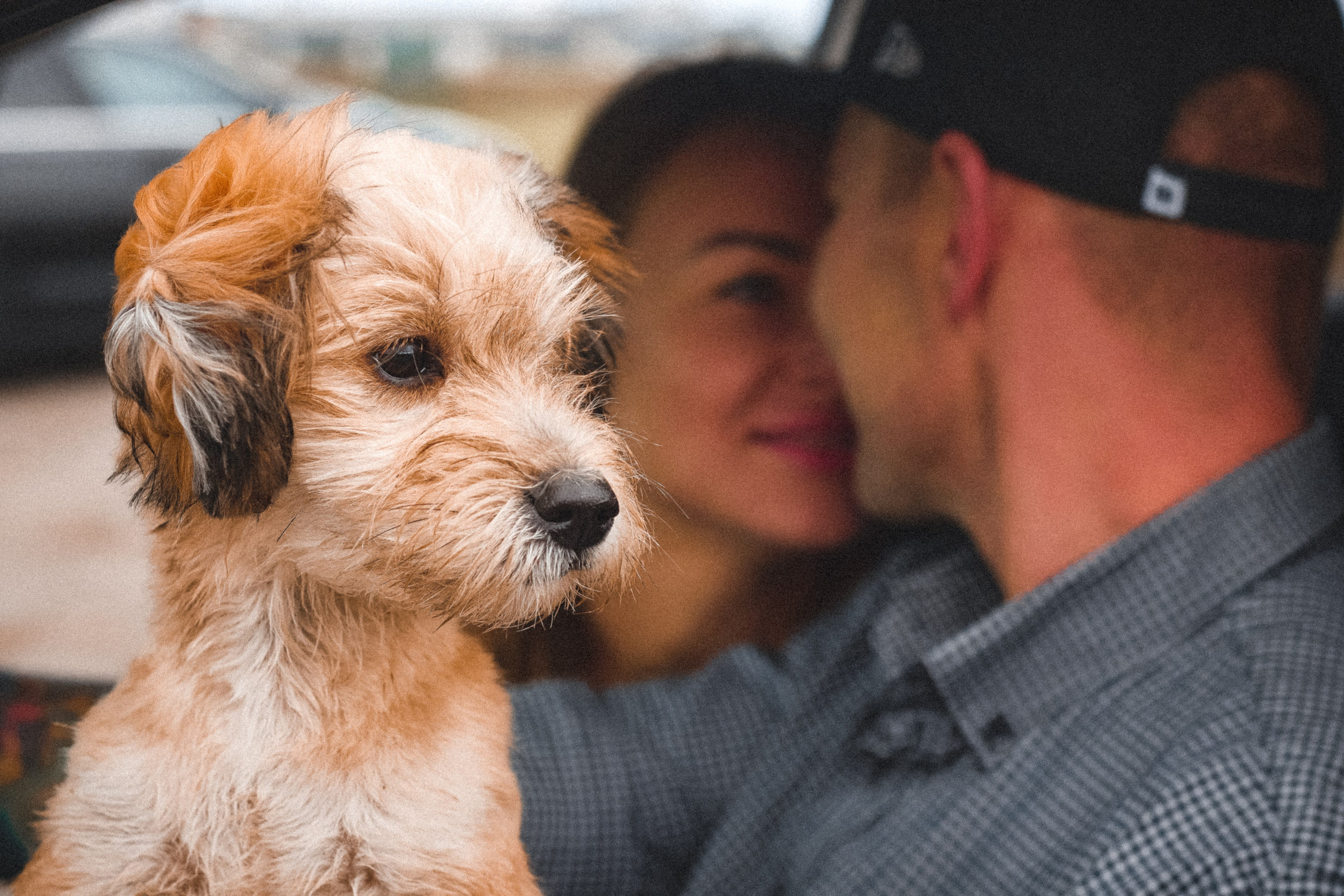 I&M. ART SYLCHENKO Fotograf Trójmiasto