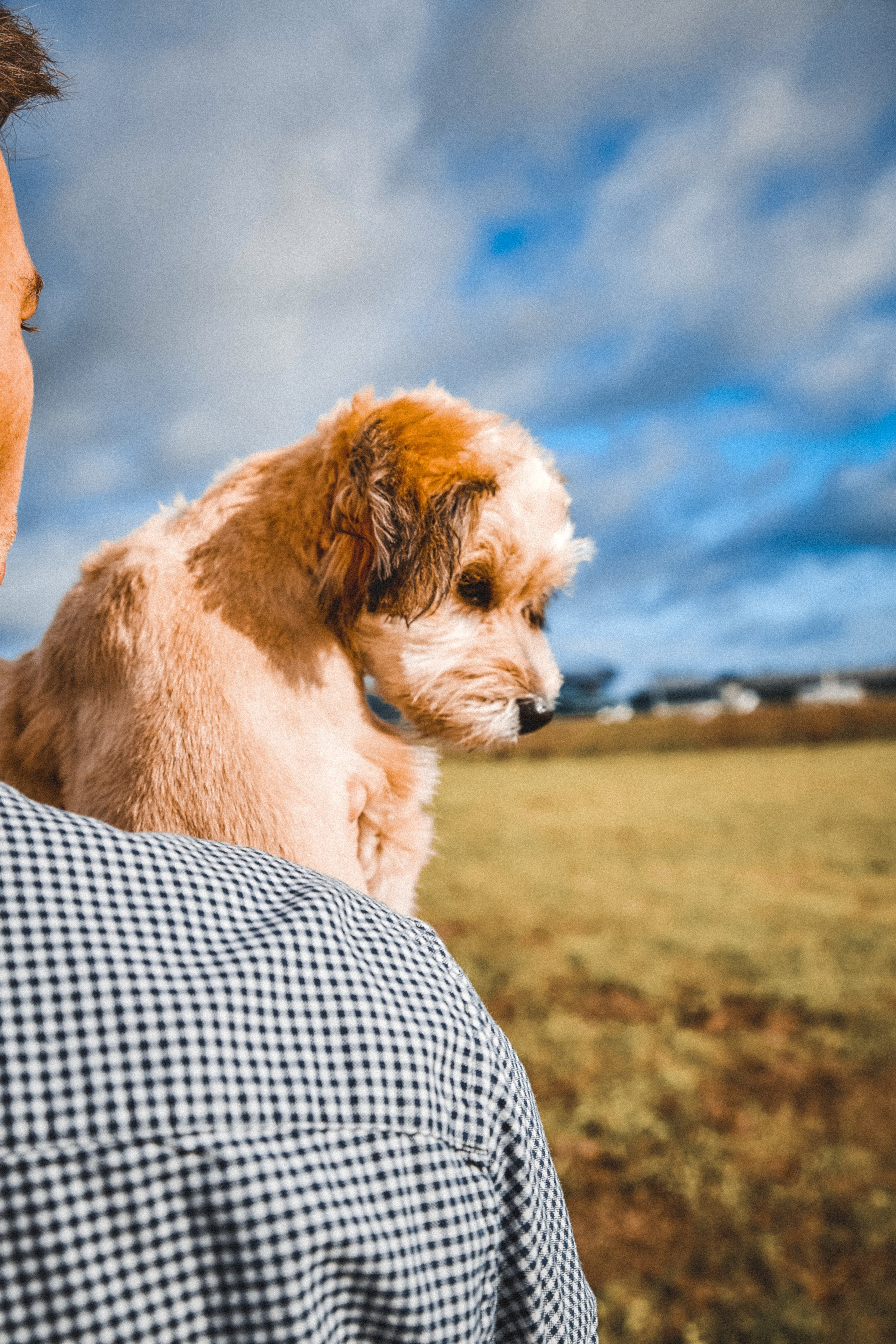 I&M. ART SYLCHENKO Fotograf Trójmiasto