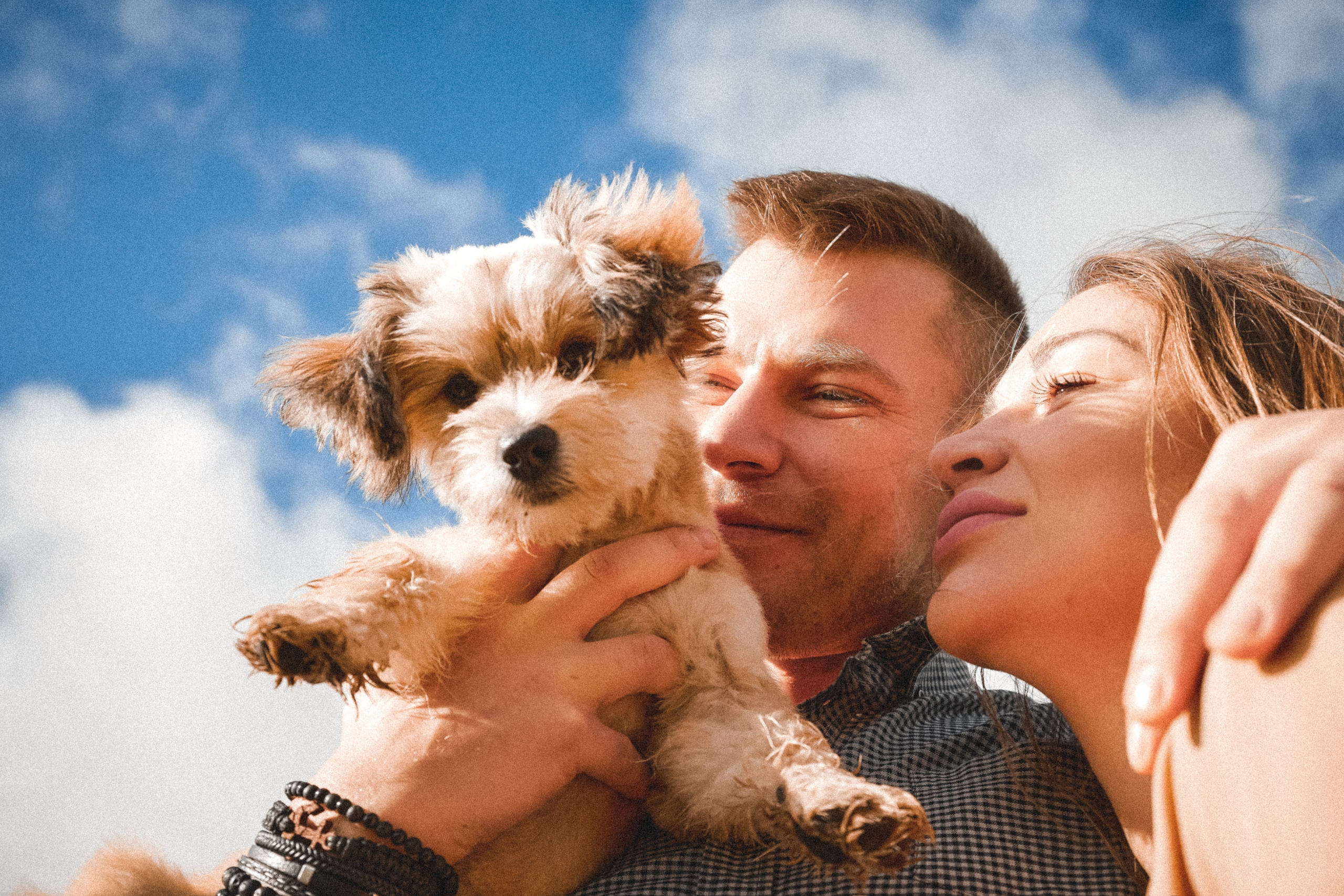 I&M. ART SYLCHENKO Fotograf Trójmiasto