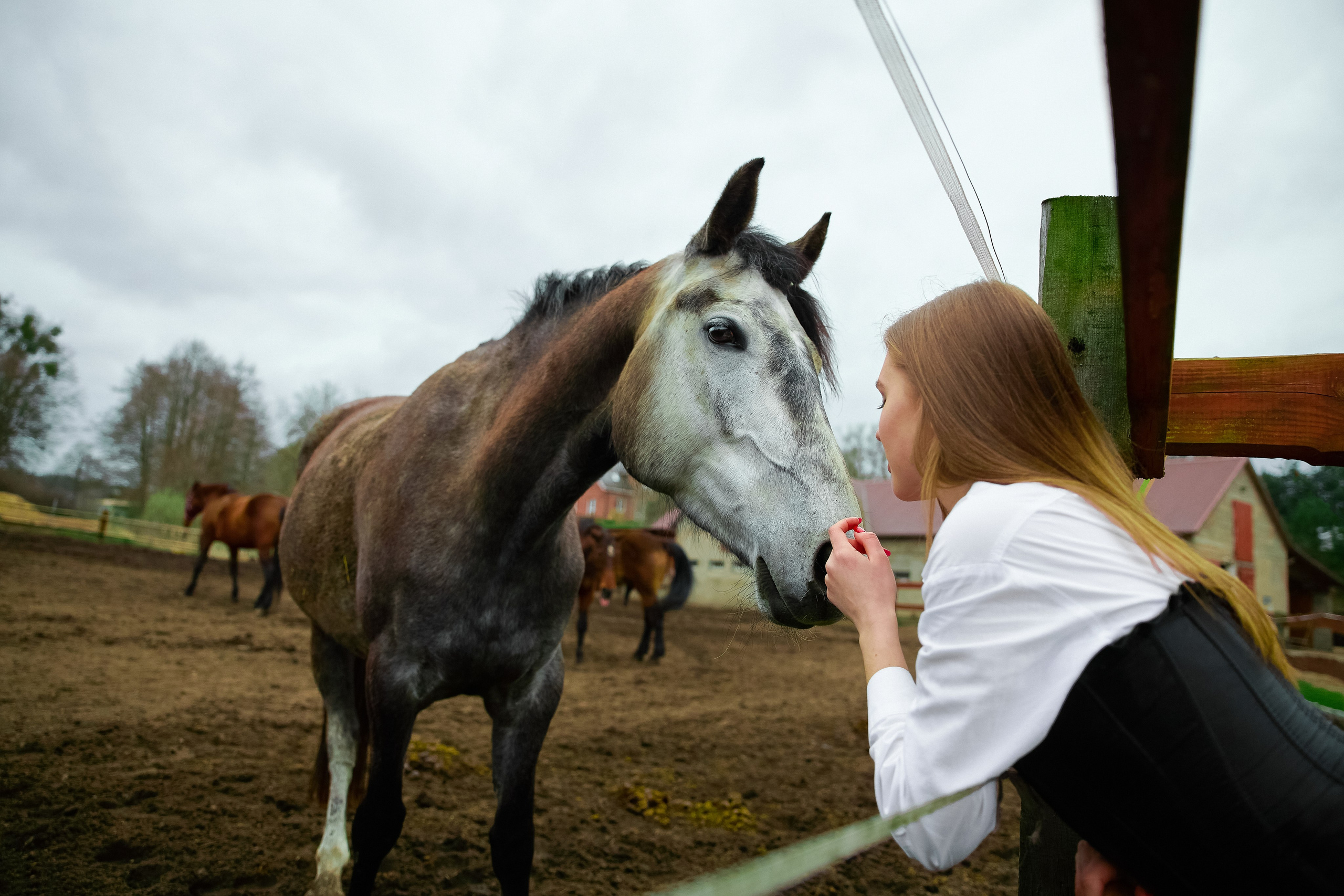 FREEDA. ART SYLCHENKO Fotograf Trójmiasto