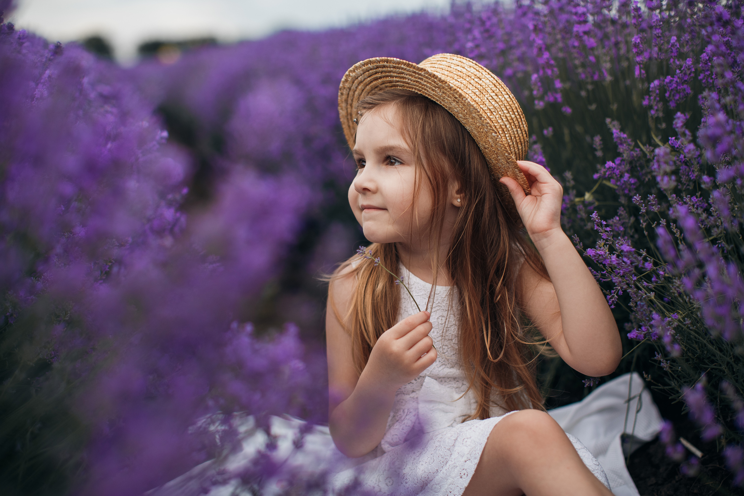 Фотограф В лаванду Кишинев. Свадебный Фотограф Кишинев, Москва Евгений Шевердов