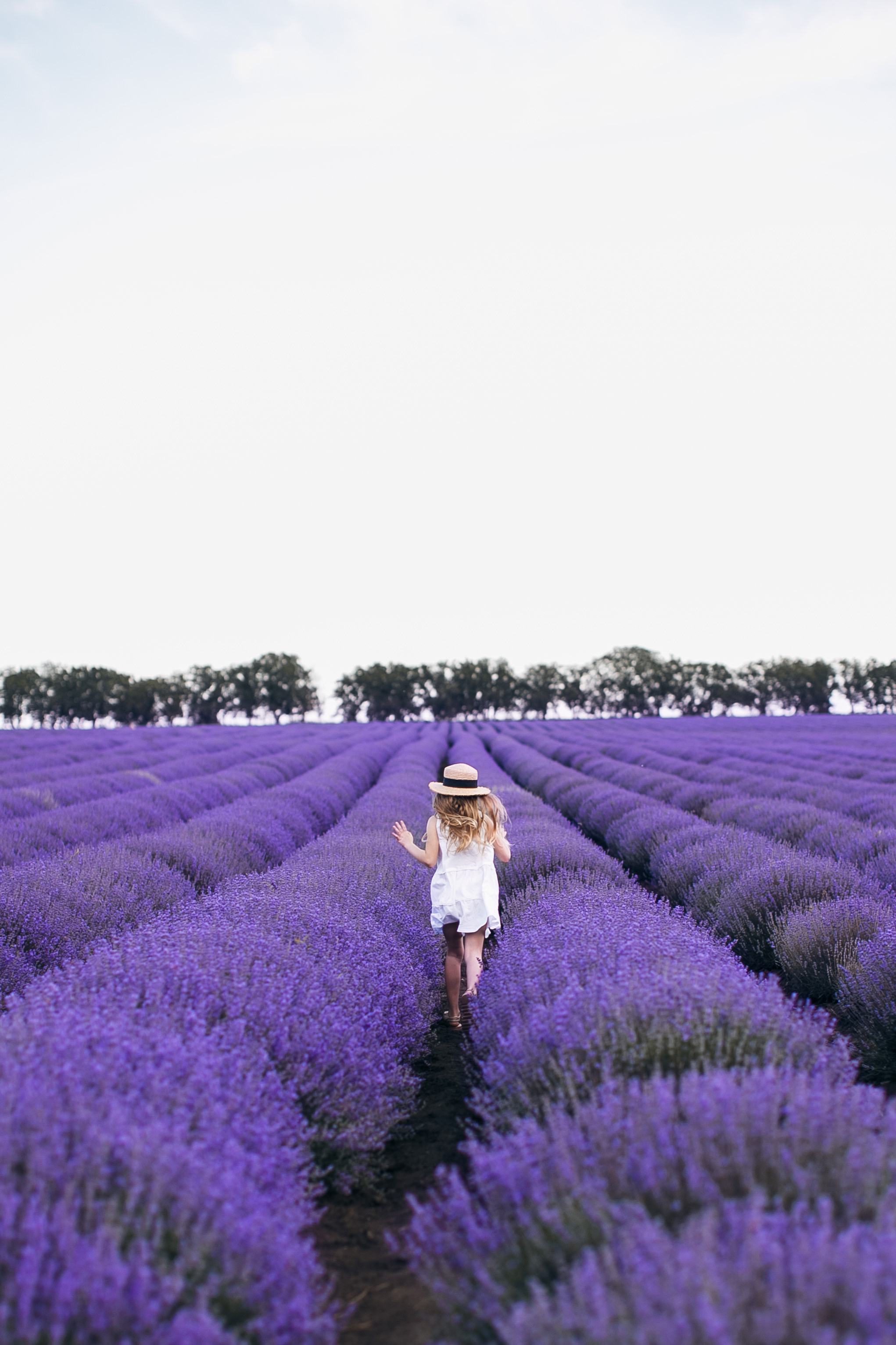 Fotograf Lavanda Chishinau. Свадебный Фотограф Кишинев, Москва Евгений Шевердов