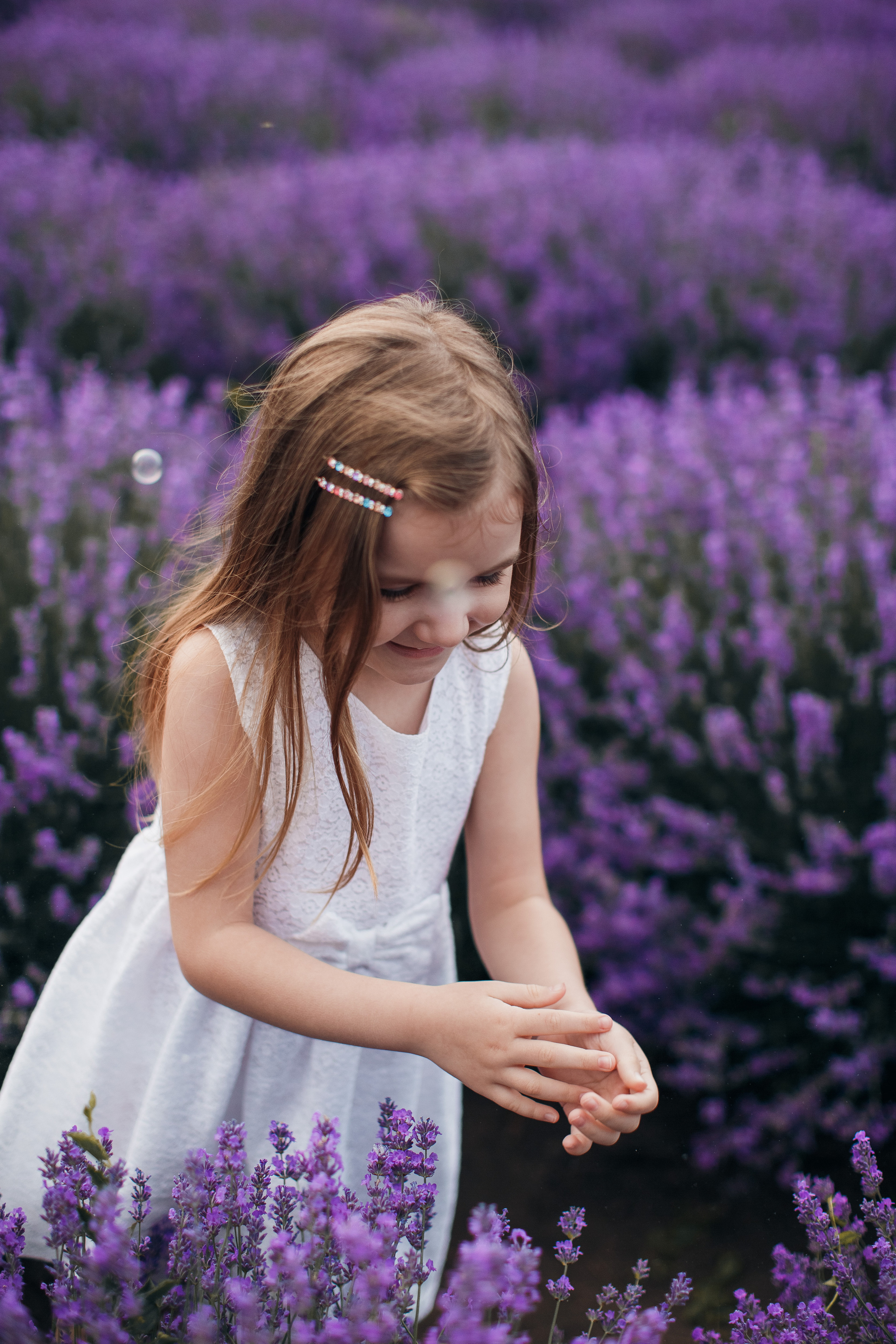 Фотограф В лаванду Кишинев. Свадебный Фотограф Кишинев, Москва Евгений Шевердов