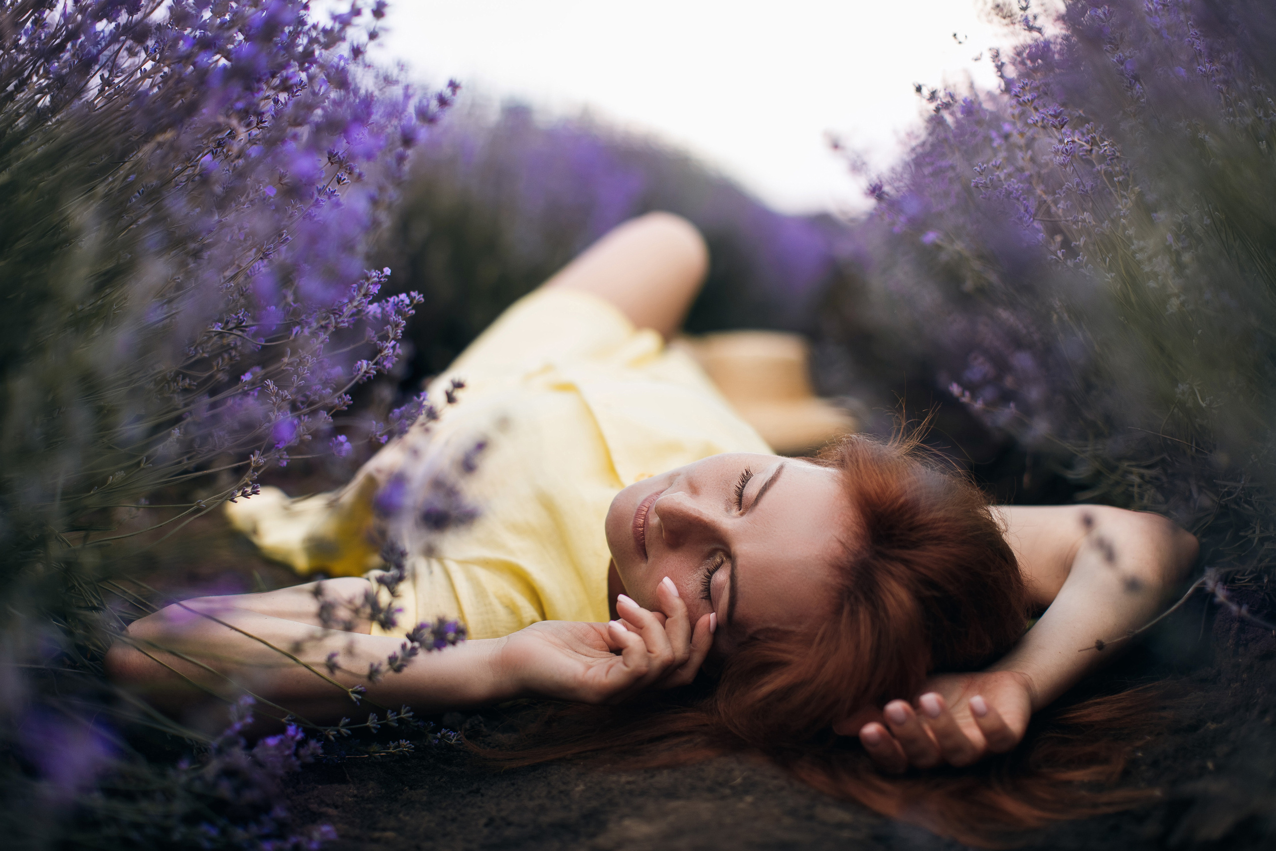 Fotograf Lavanda Chishinau. Свадебный Фотограф Кишинев, Москва Евгений Шевердов