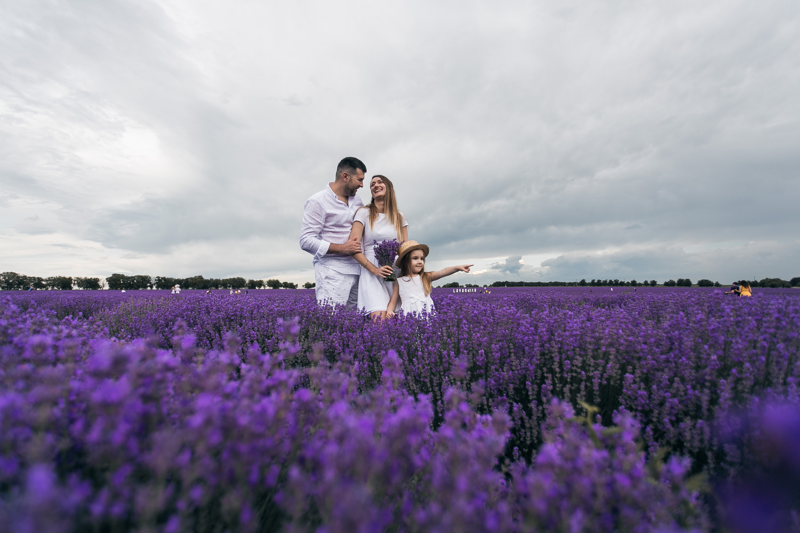 Фотограф В лаванду Кишинев. Свадебный Фотограф Кишинев, Москва Евгений Шевердов