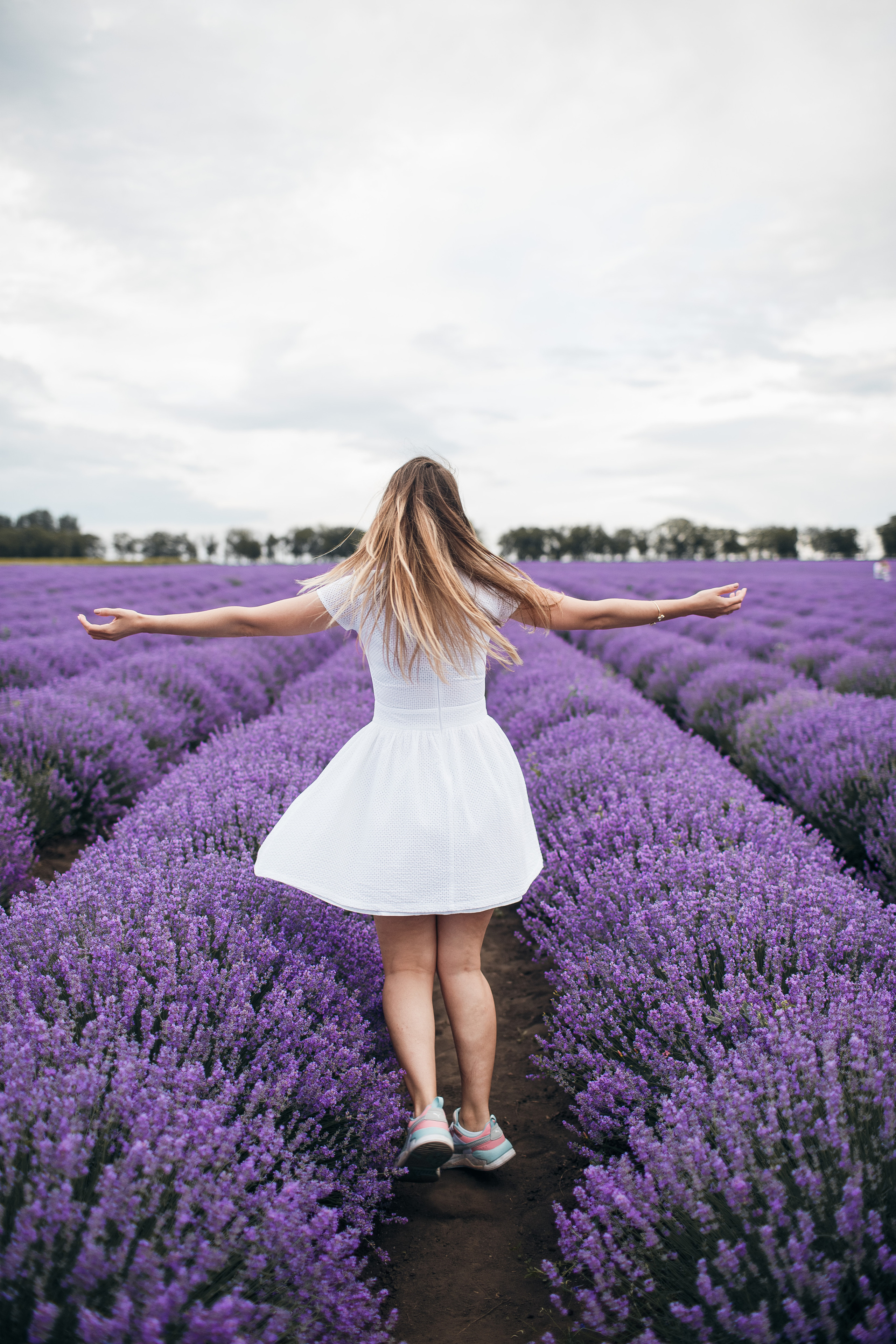 Фотограф В лаванду Кишинев. Свадебный Фотограф Кишинев, Москва Евгений Шевердов