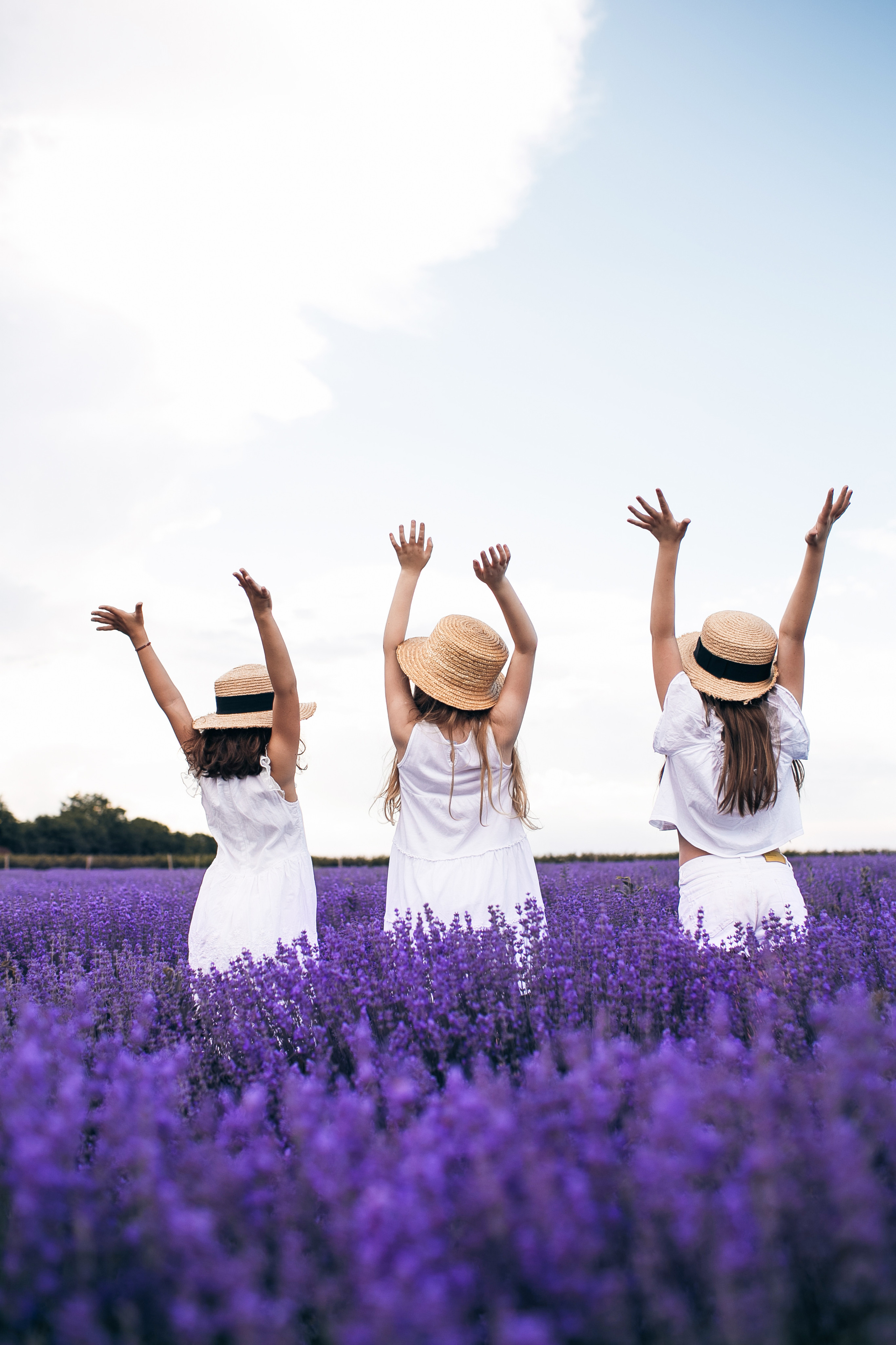 Fotograf Lavanda Chishinau. Свадебный Фотограф Кишинев, Москва Евгений Шевердов