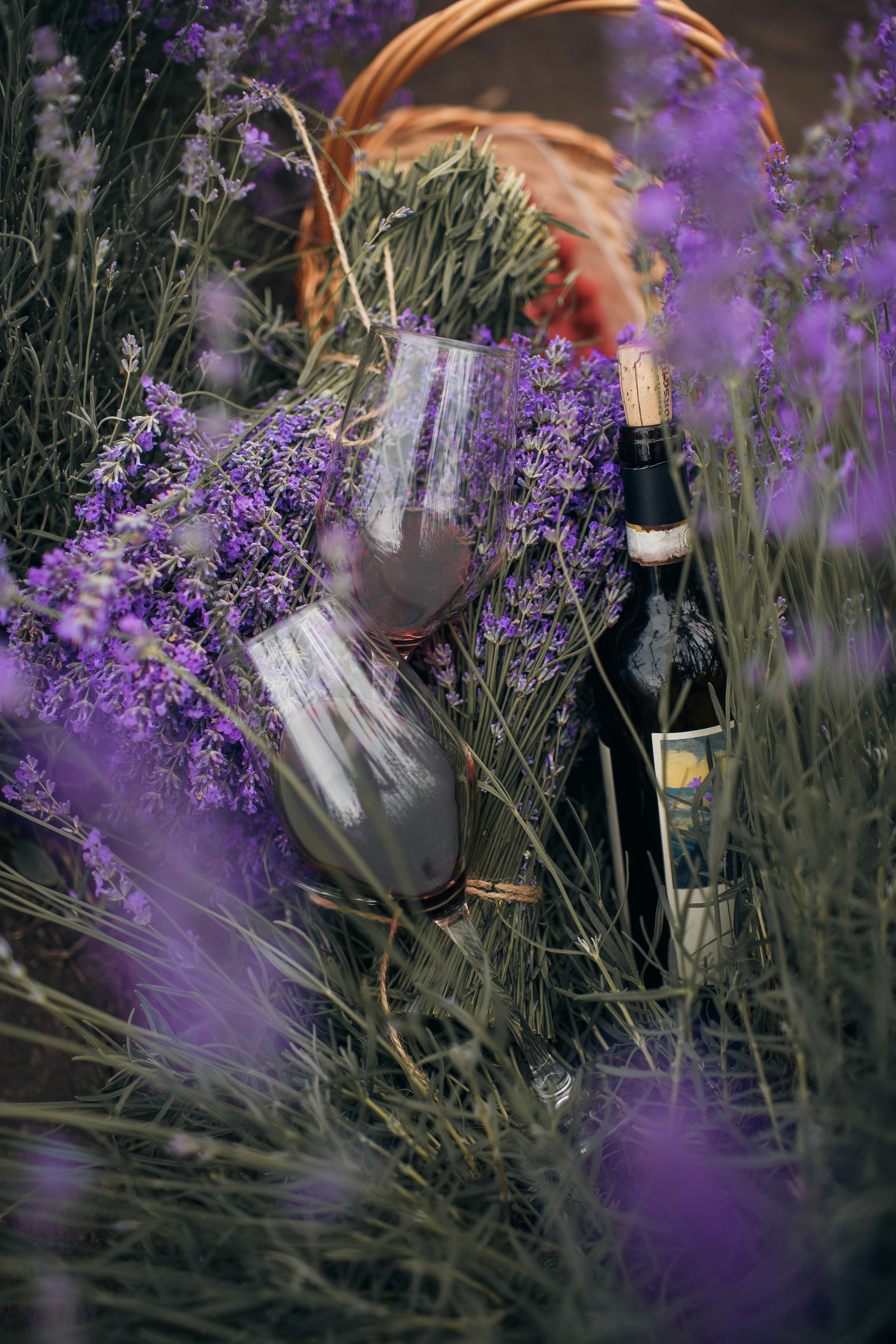 Фотограф В лаванду Кишинев. Свадебный Фотограф Кишинев, Москва Евгений Шевердов