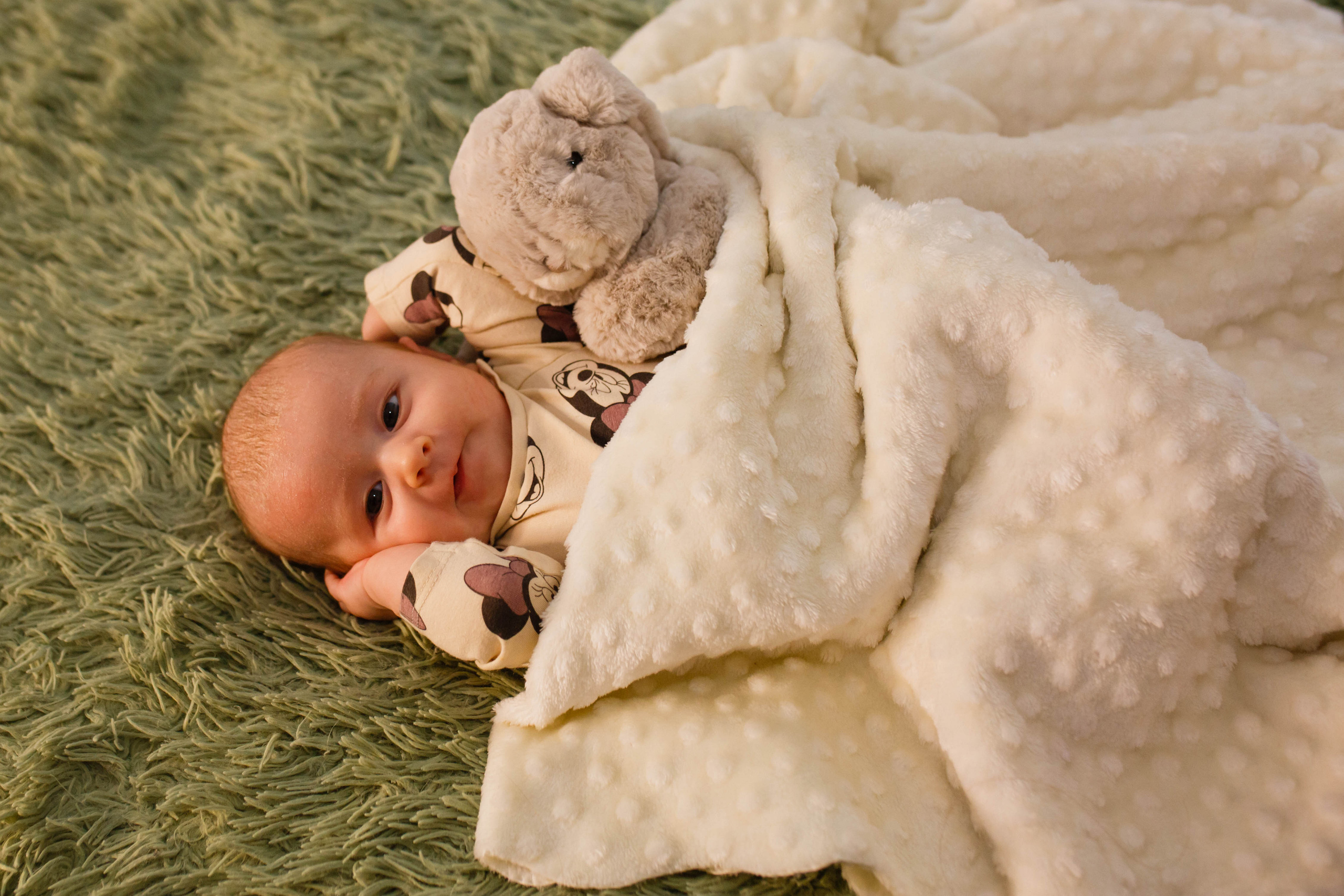 Перше різдво у Софії. Фотограф в Чернівцях, Фотограф Чернівці