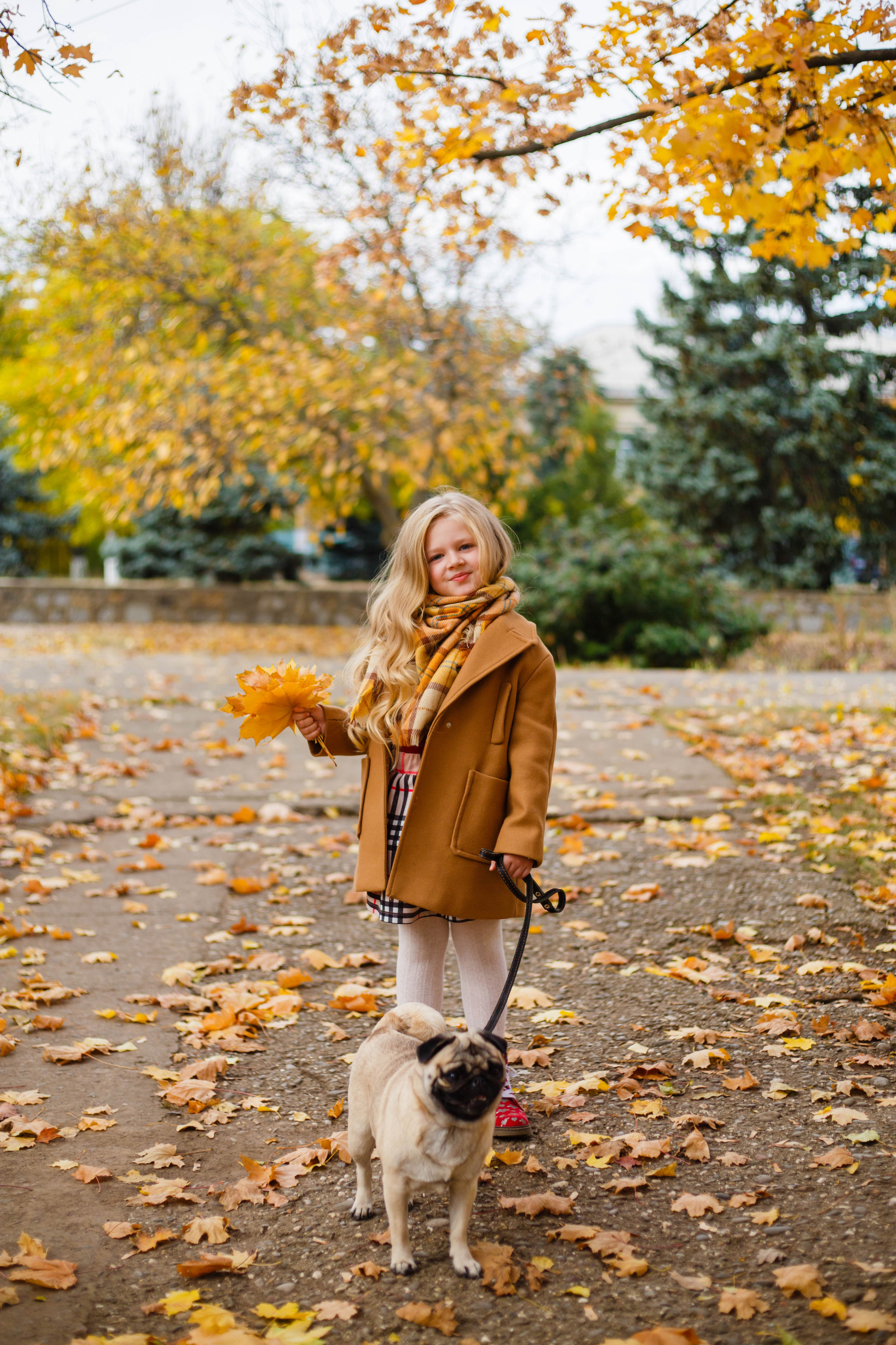 Осінь в Україні. Фотограф в Чернівцях, Фотограф Чернівці