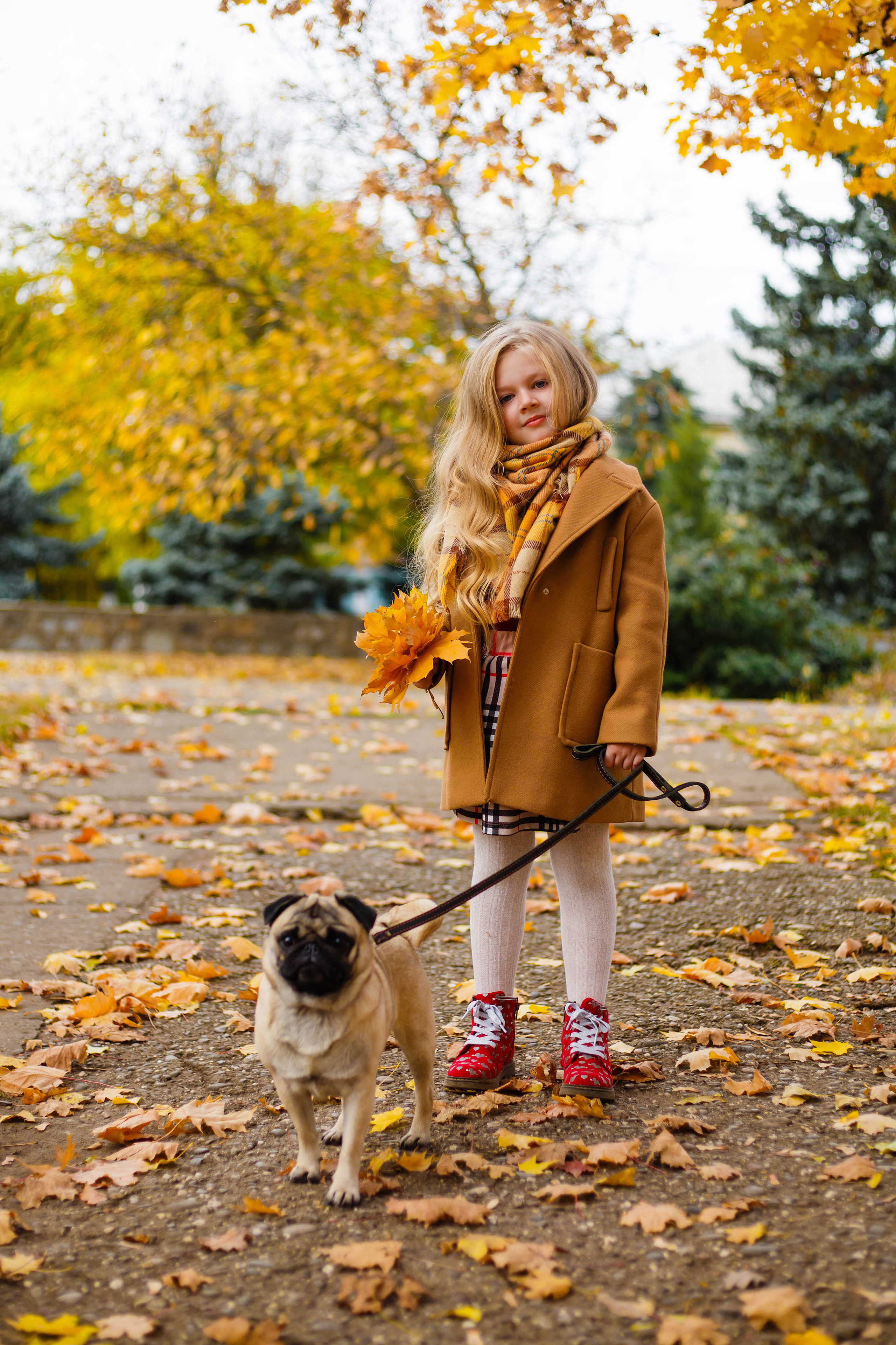 Осінь в Україні. Фотограф в Чернівцях, Фотограф Чернівці