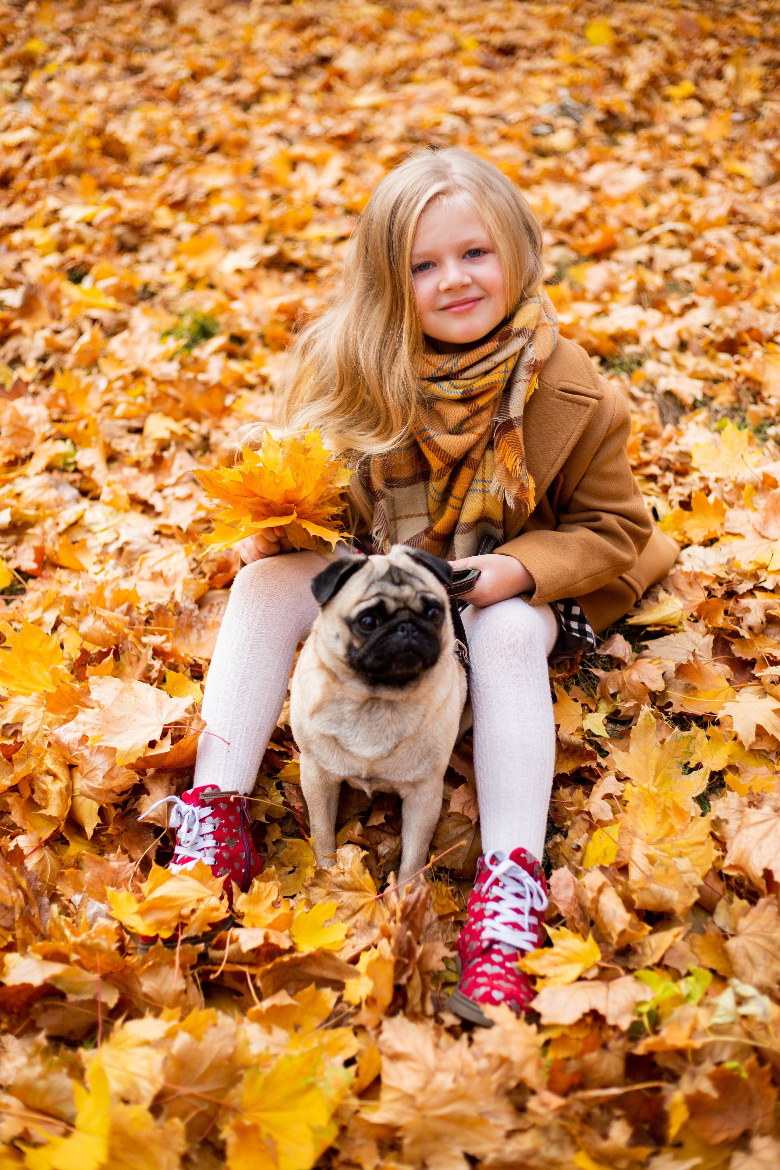 Осінь в Україні. Фотограф в Чернівцях, Фотограф Чернівці