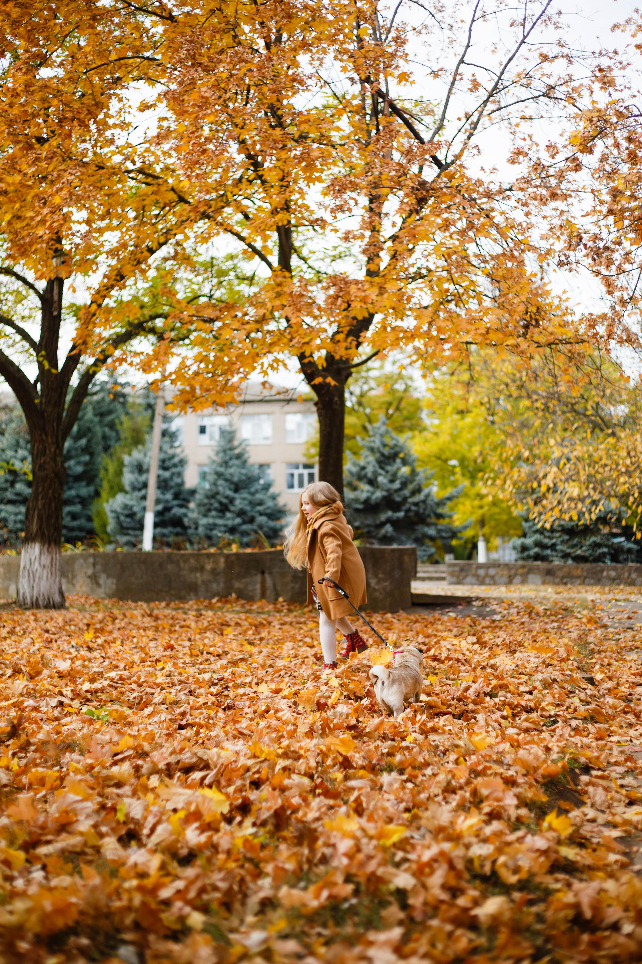 Осінь в Україні. Фотограф в Чернівцях, Фотограф Чернівці