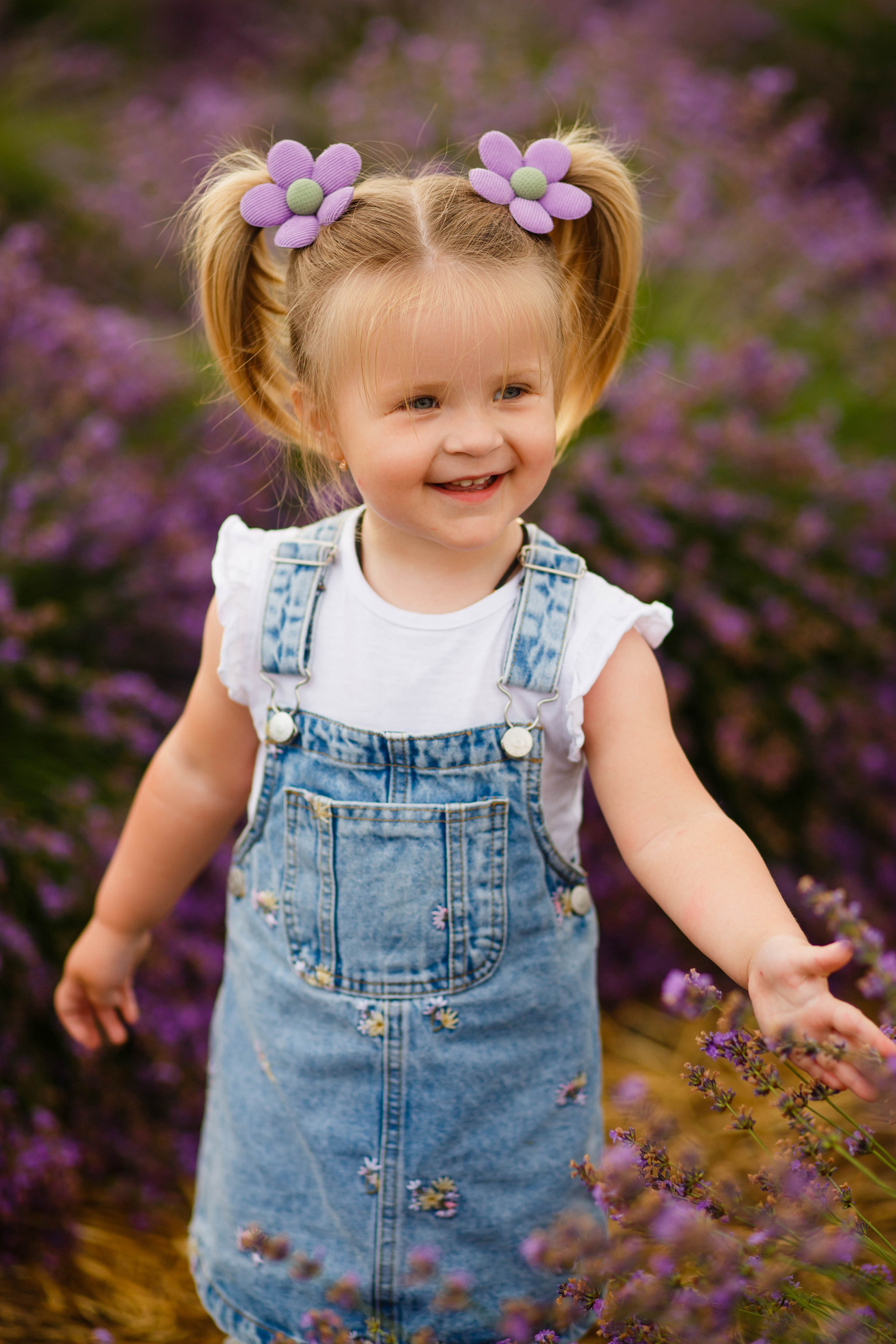 Лавандовий затишок. Фотограф в Чернівцях, Фотограф Чернівці