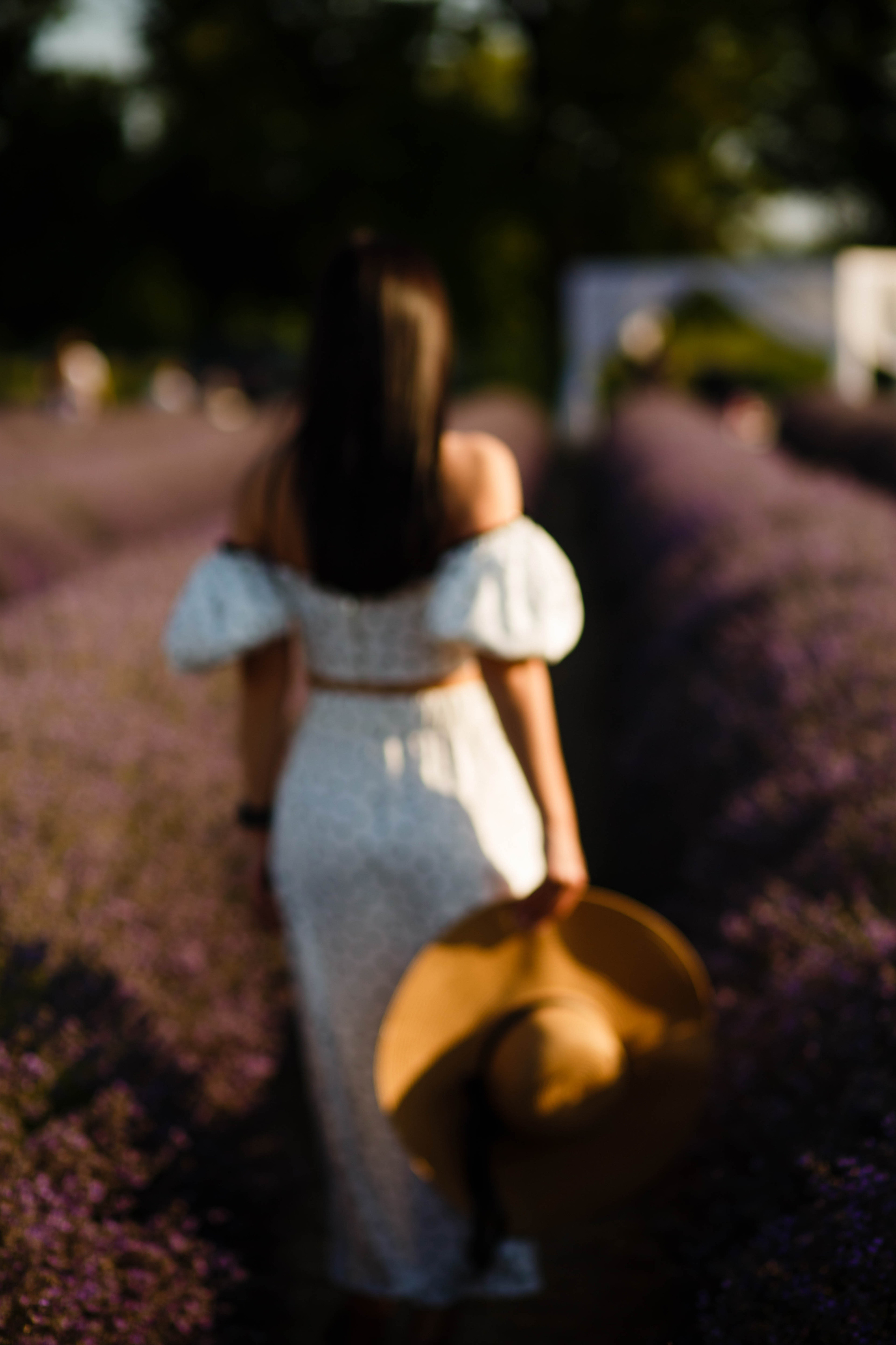 Уляна в лаванді. Фотограф в Чернівцях, Фотограф Чернівці