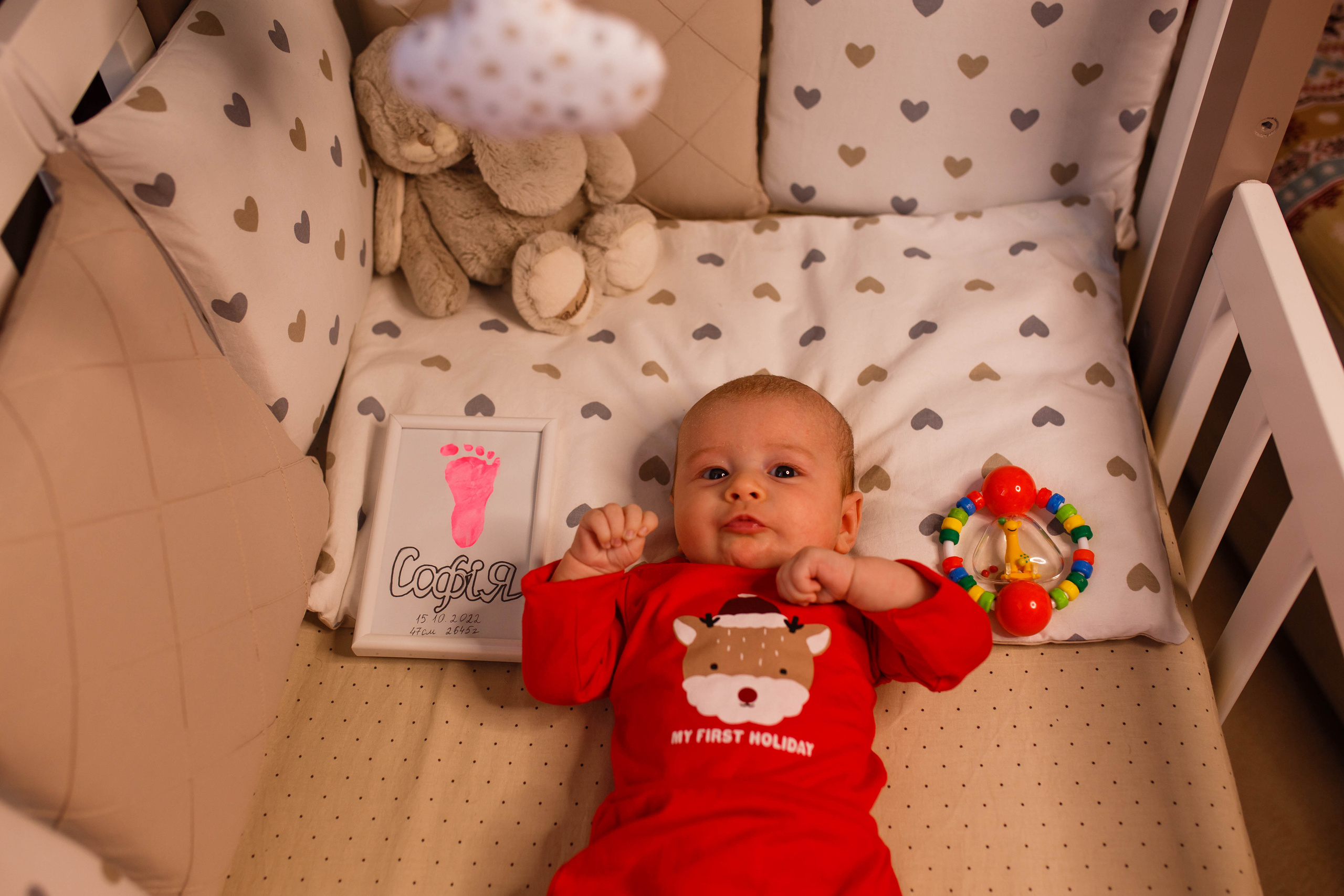 Перше різдво у Софії. Фотограф в Чернівцях, Фотограф Чернівці