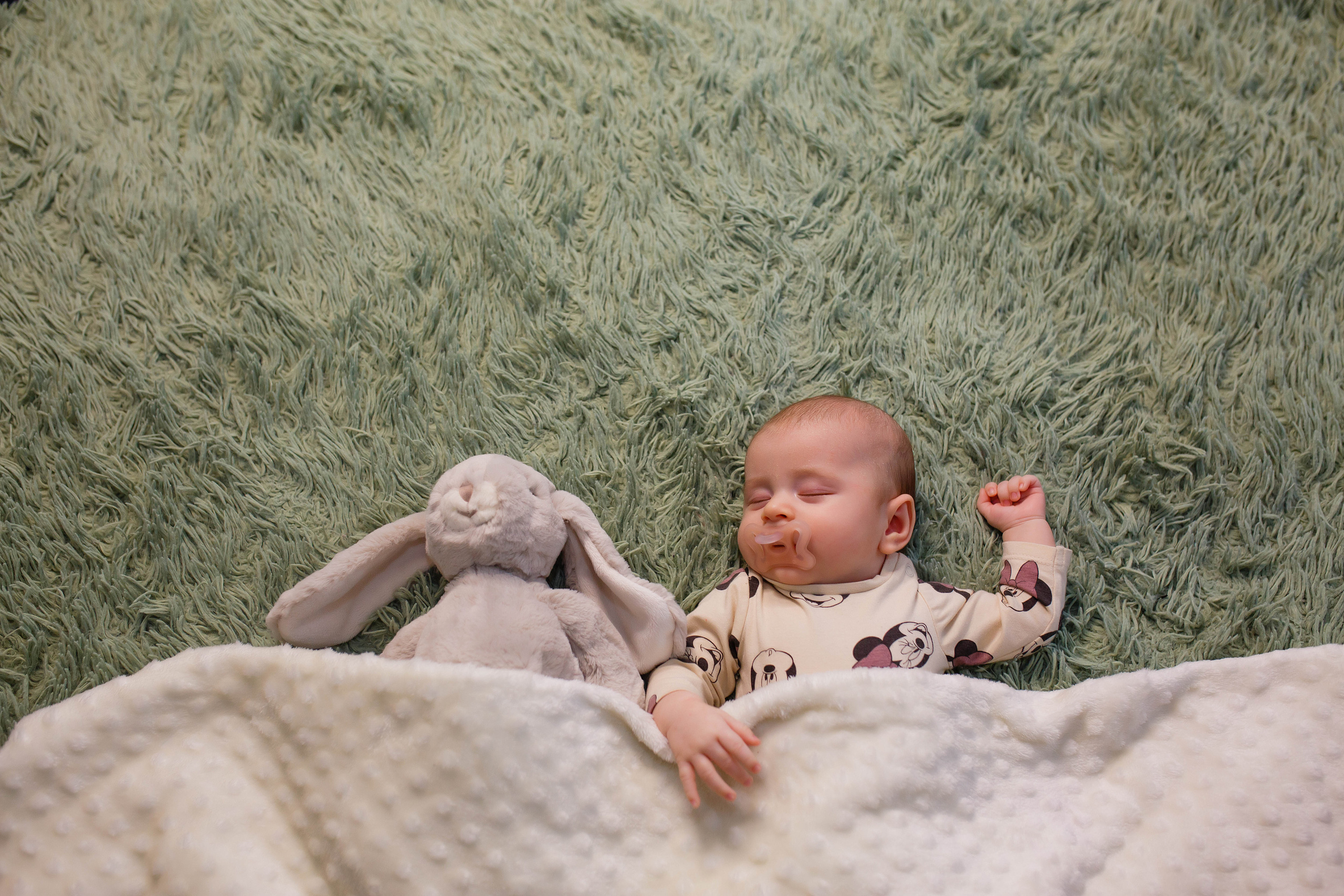 Перше різдво у Софії. Фотограф в Чернівцях, Фотограф Чернівці