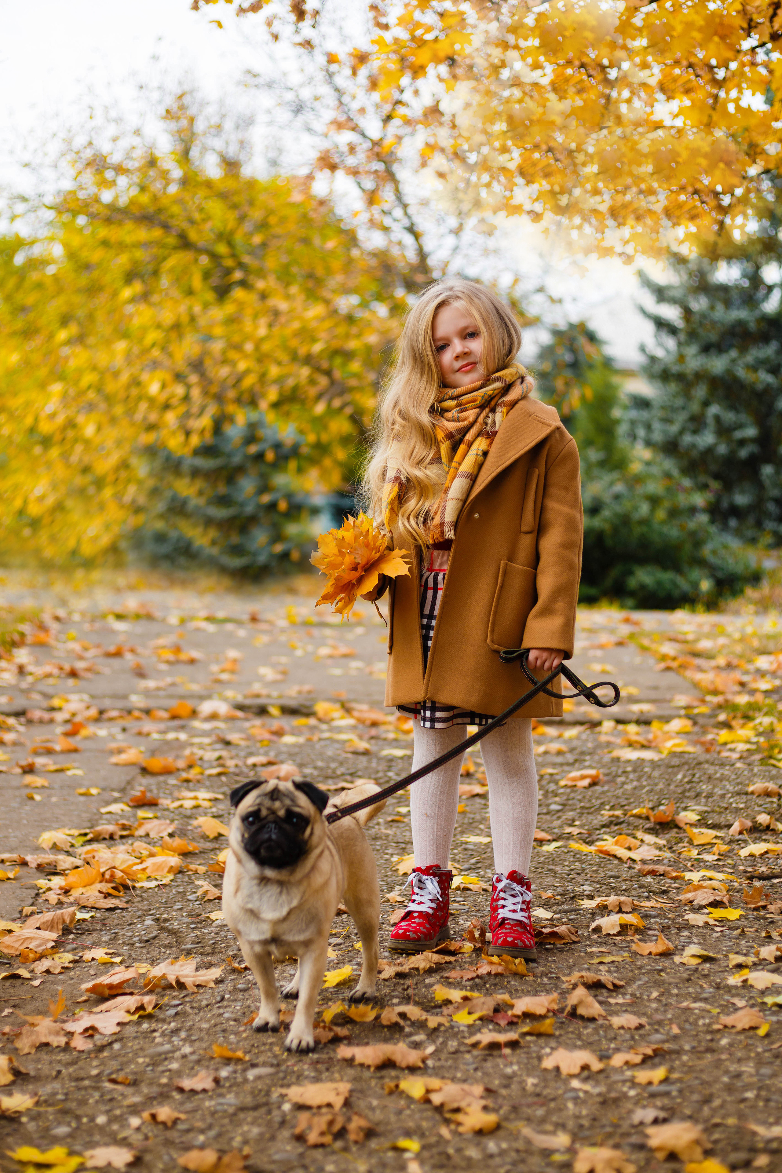 Осінь в Україні. Фотограф в Чернівцях, Фотограф Чернівці