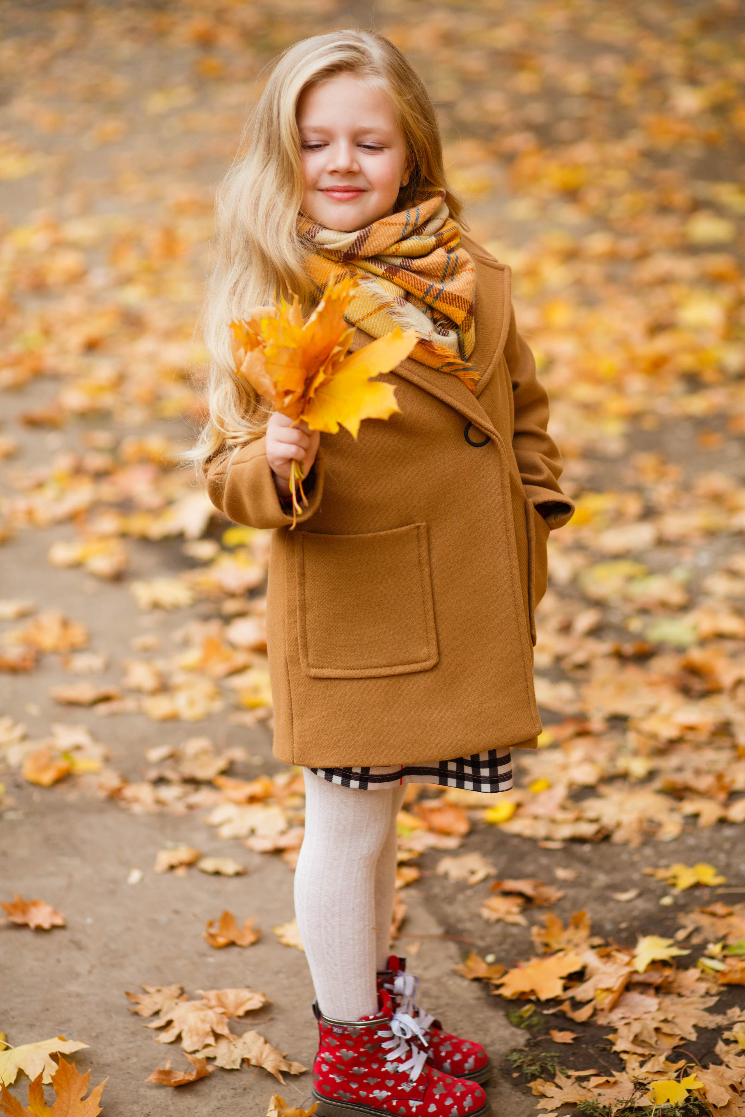 Осінь в Україні. Фотограф в Чернівцях, Фотограф Чернівці