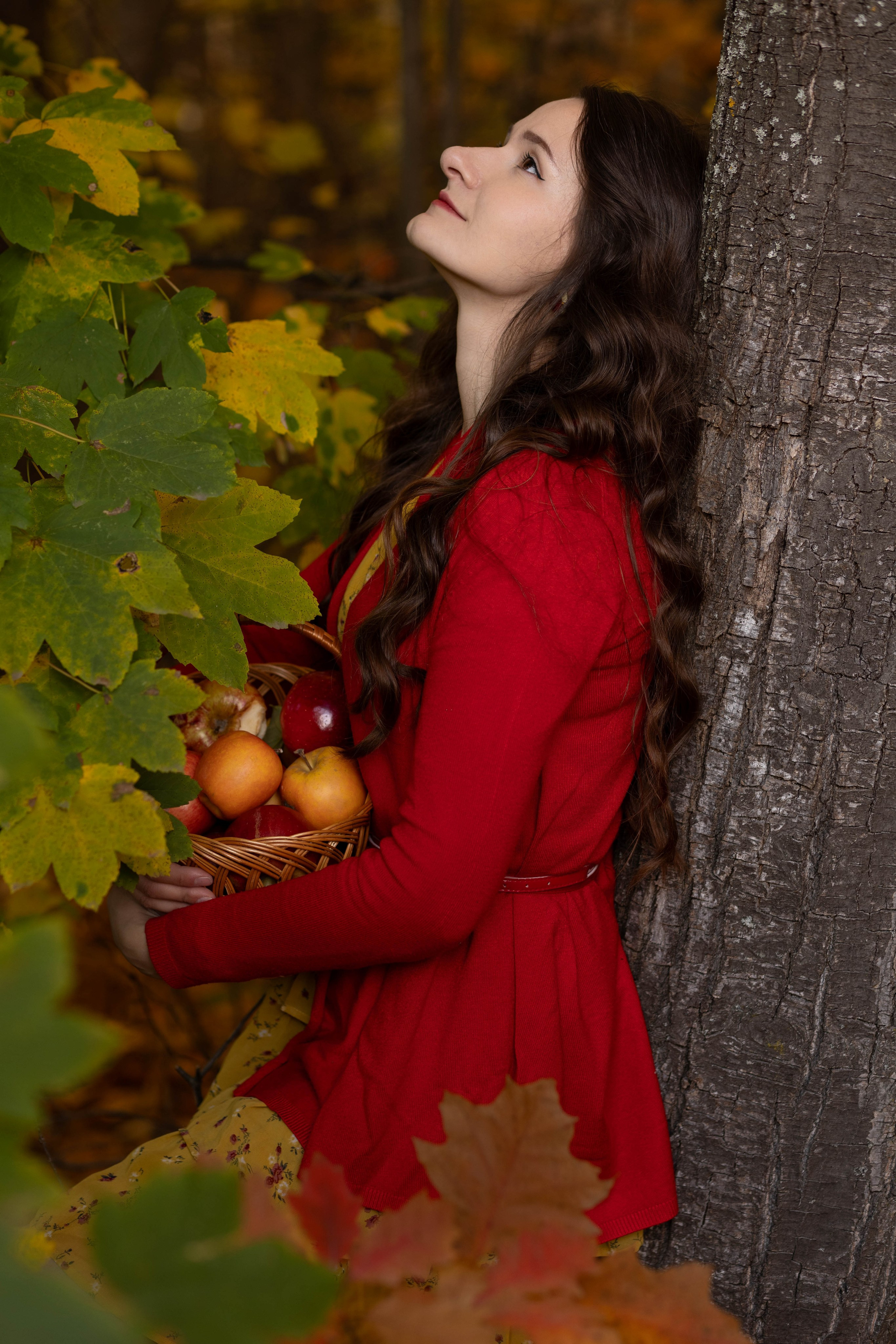 Фотограф в Чернівцях, Фотограф Чернівці