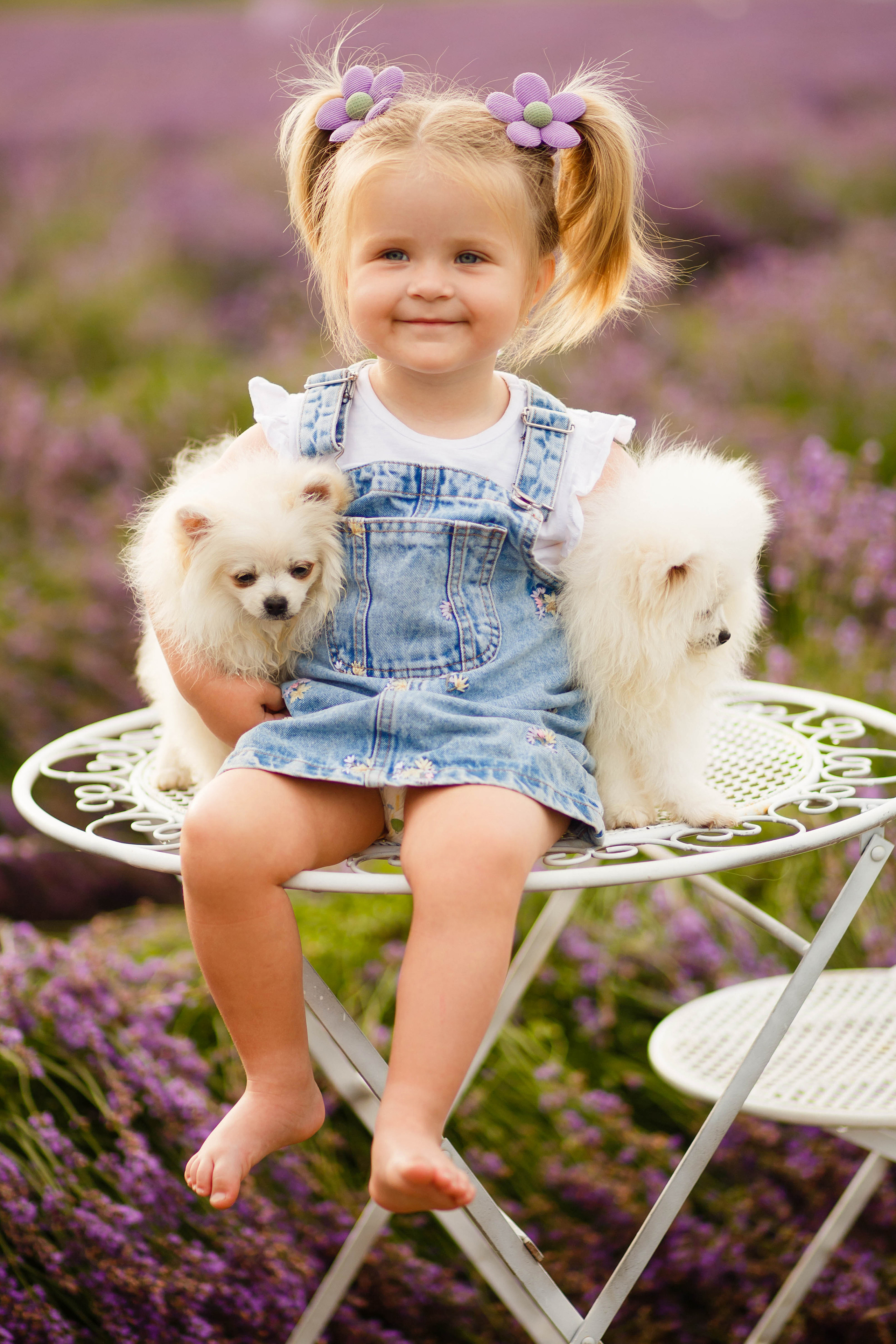 Лавандовий затишок. Фотограф в Чернівцях, Фотограф Чернівці