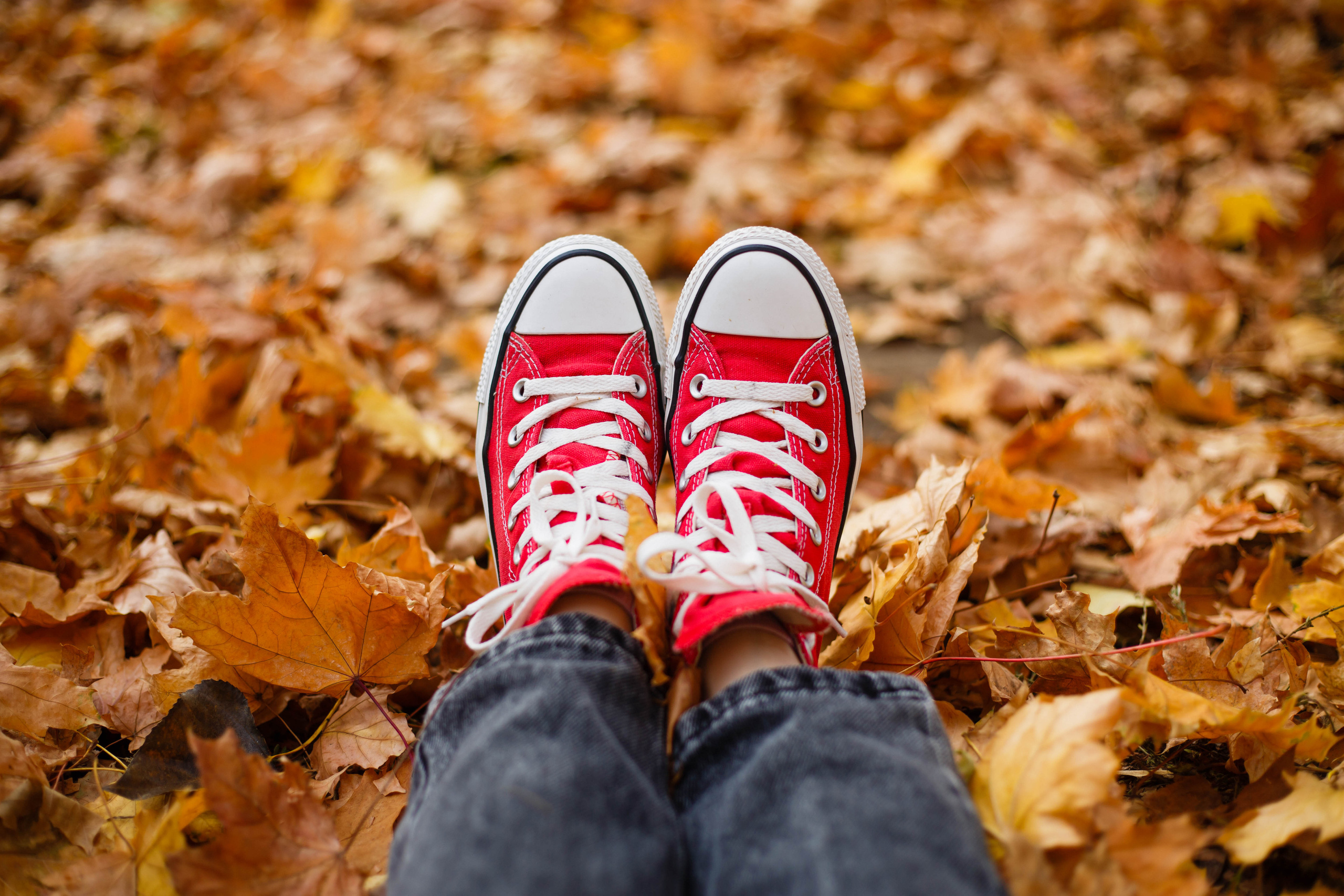 Осінь в Україні. Фотограф в Чернівцях, Фотограф Чернівці